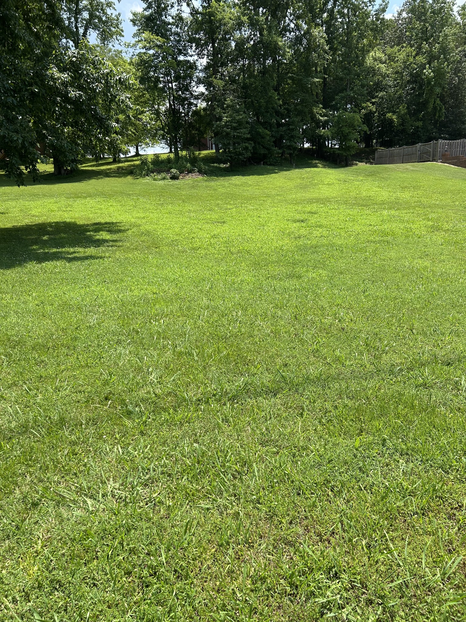 704 Deer Ridge Ln Property Photo 2