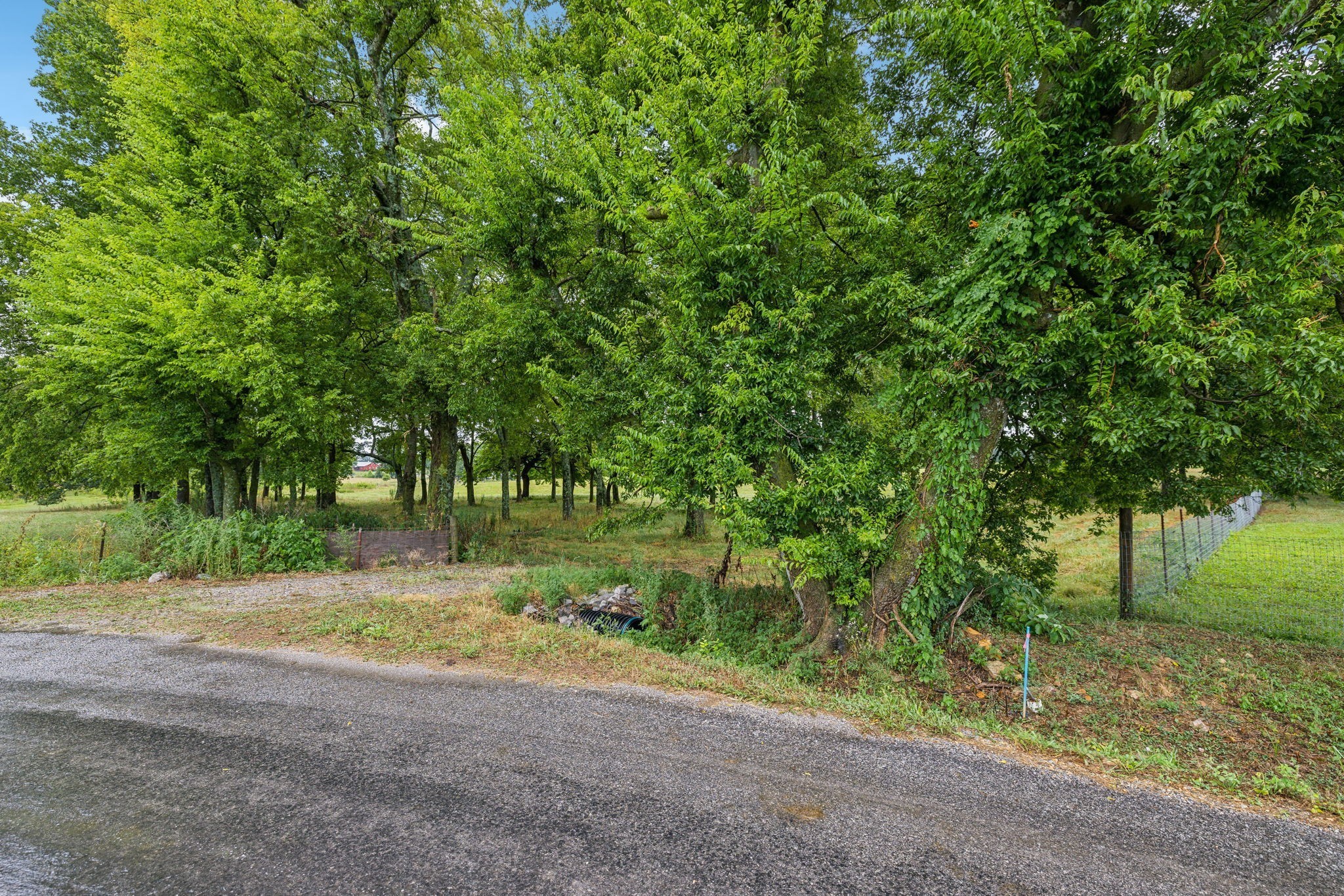 0 Dooley Rd Property Photo 5