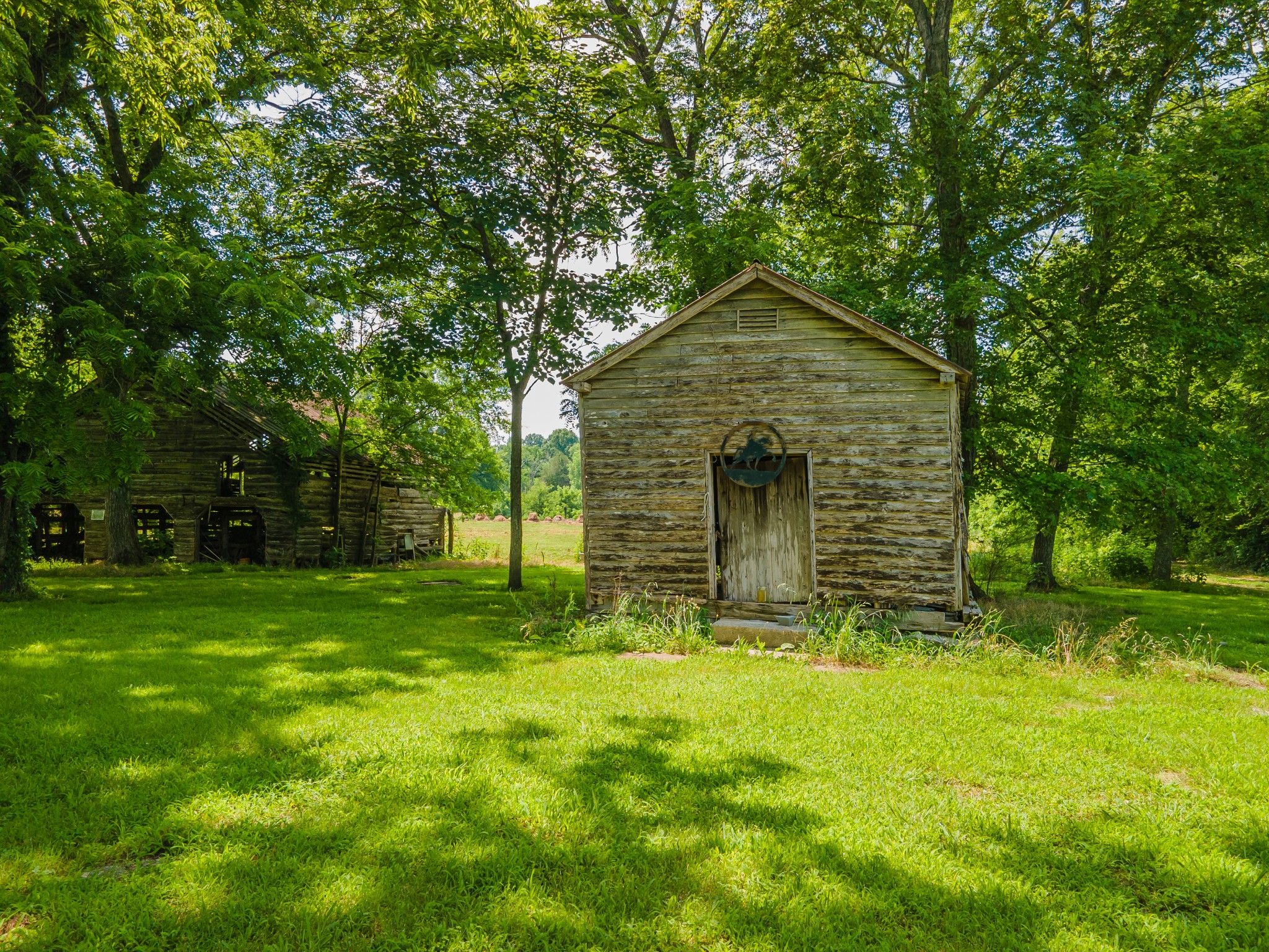 2423 Highway 64 Property Photo 4