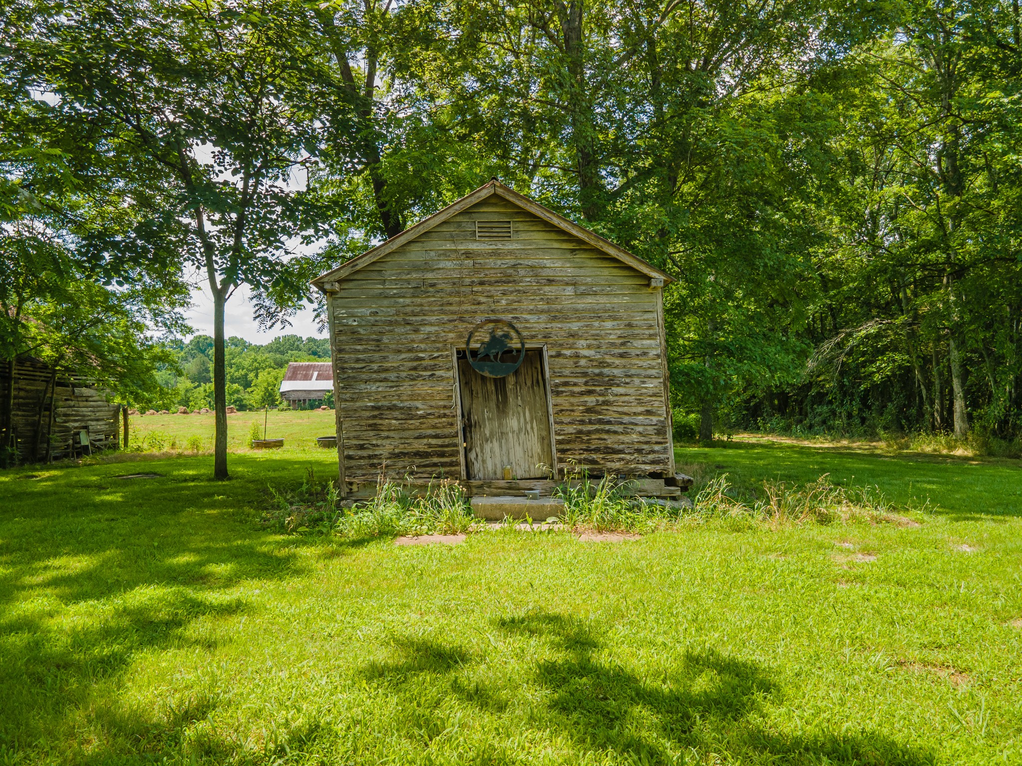2423 Highway 64 Property Photo 5
