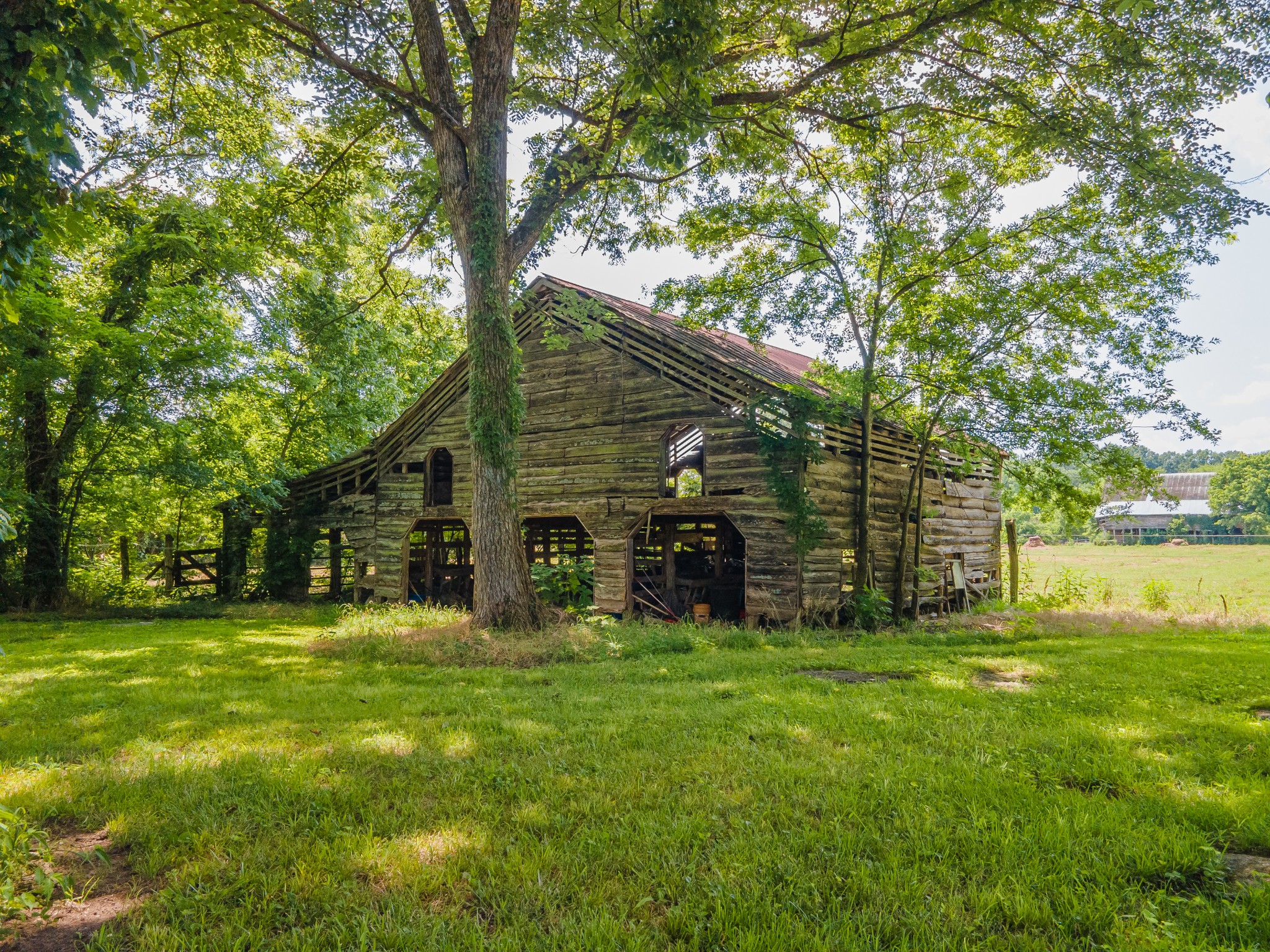2423 Highway 64 Property Photo 7
