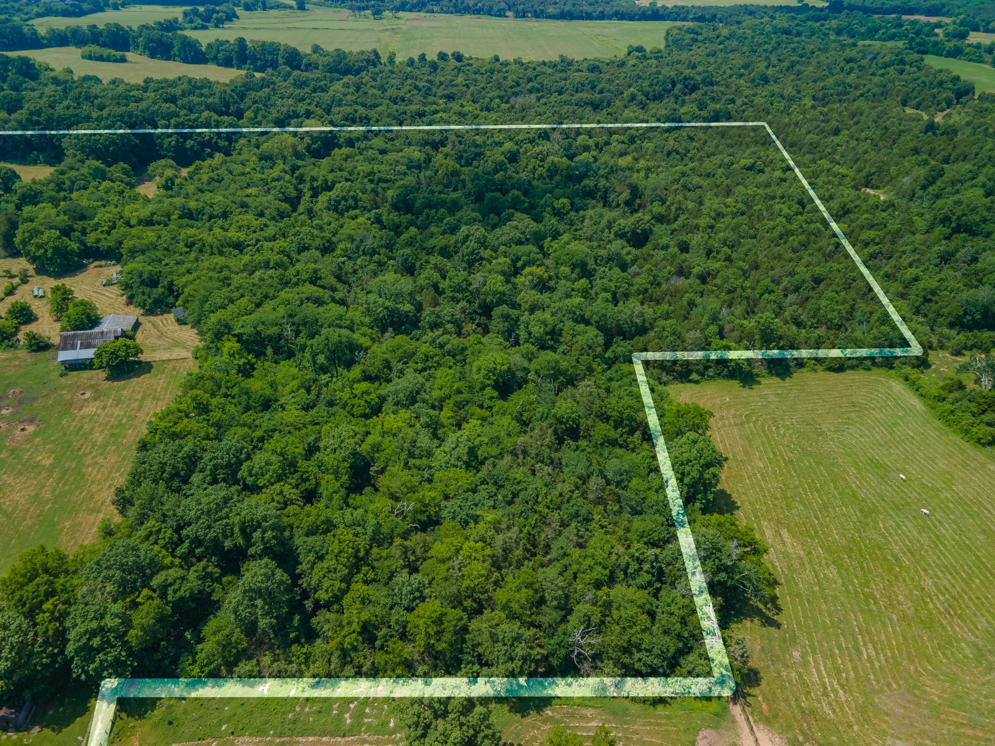 2423 Highway 64 Property Photo 15