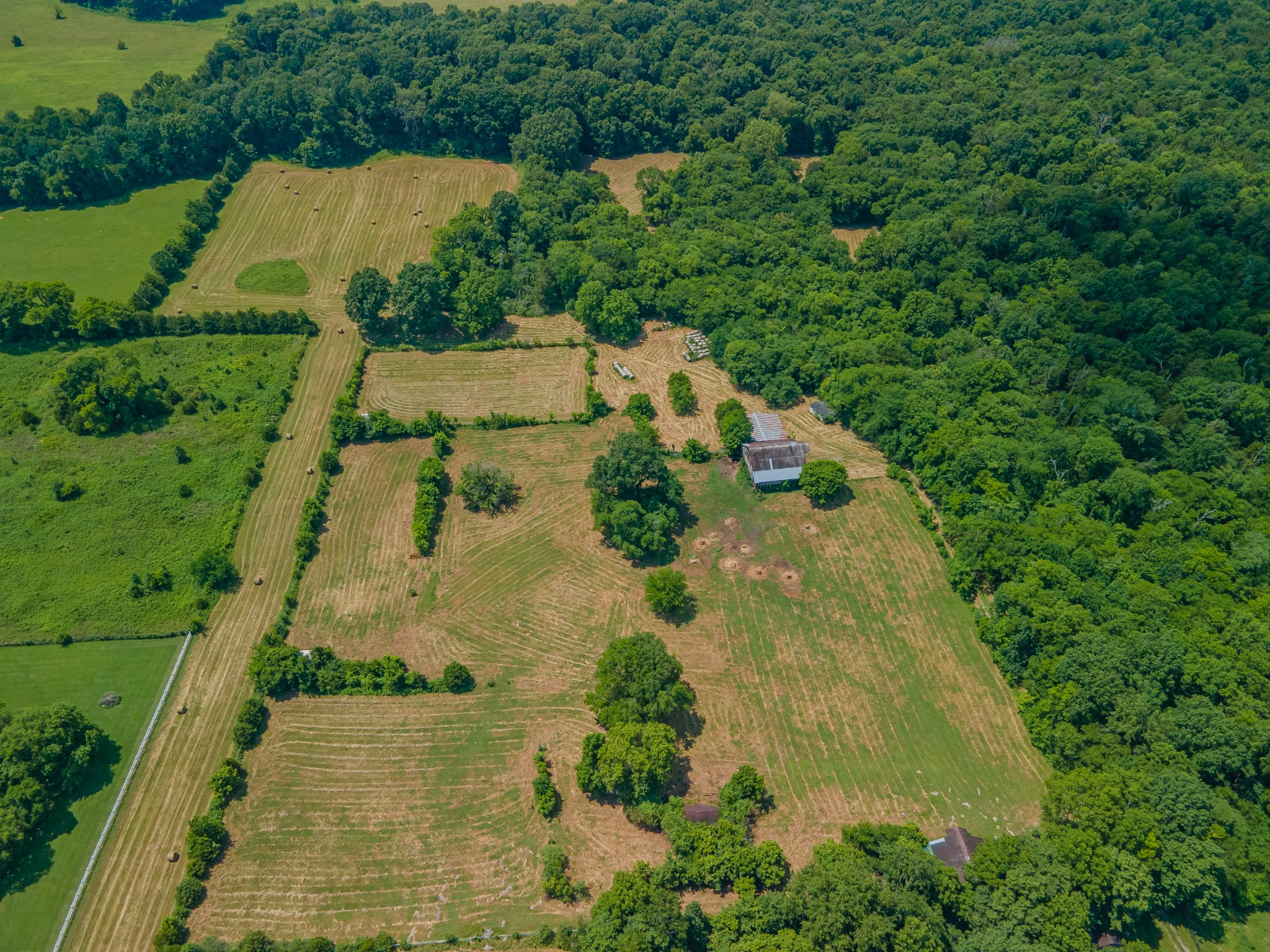 2423 Highway 64 Property Photo 17