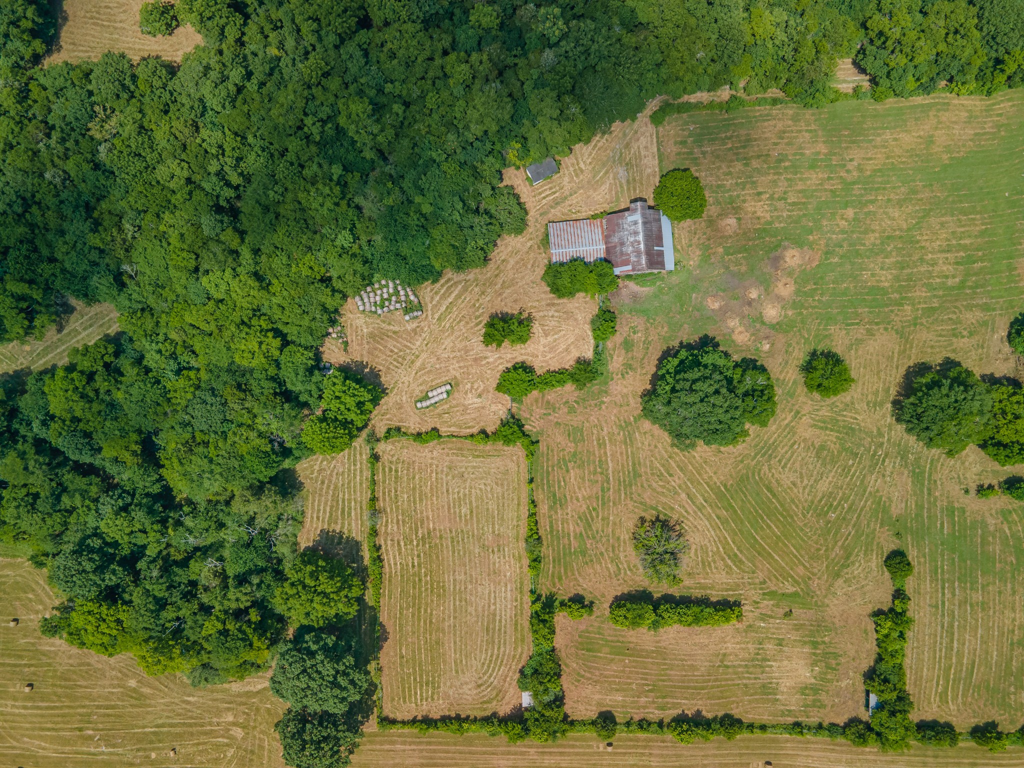 2423 Highway 64 Property Photo 19