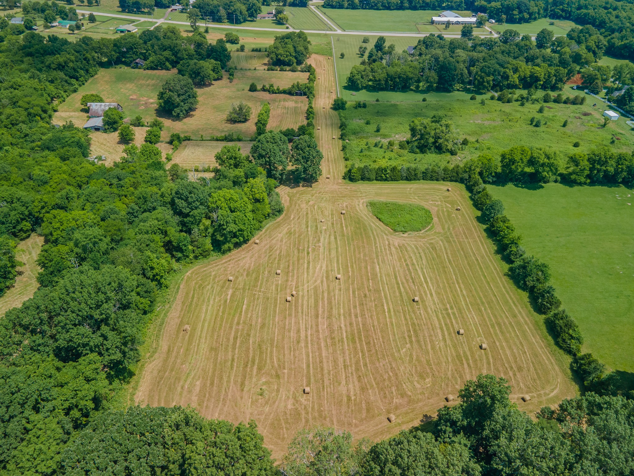 2423 Highway 64 Property Photo 29