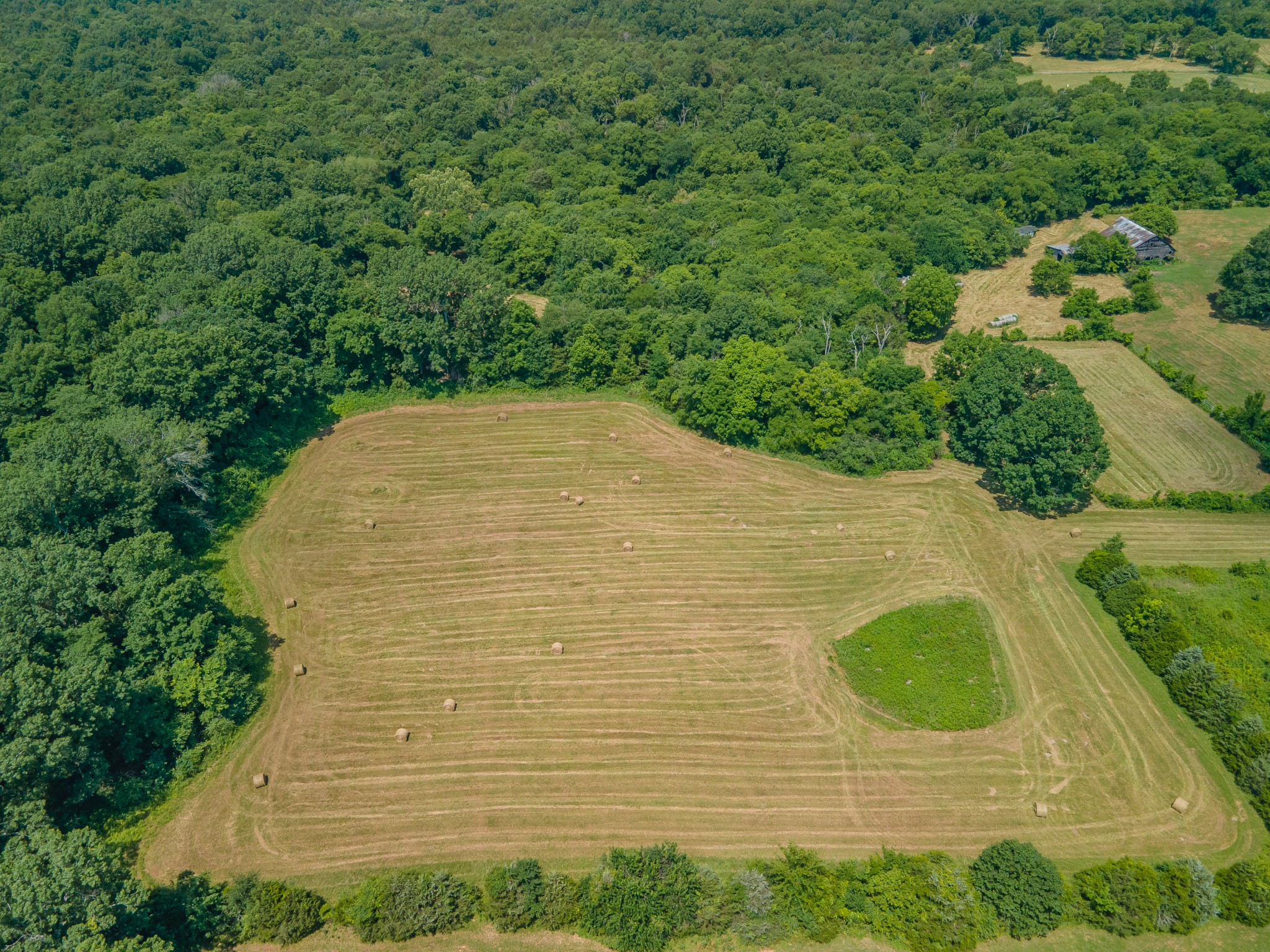 2423 Highway 64 Property Photo 30