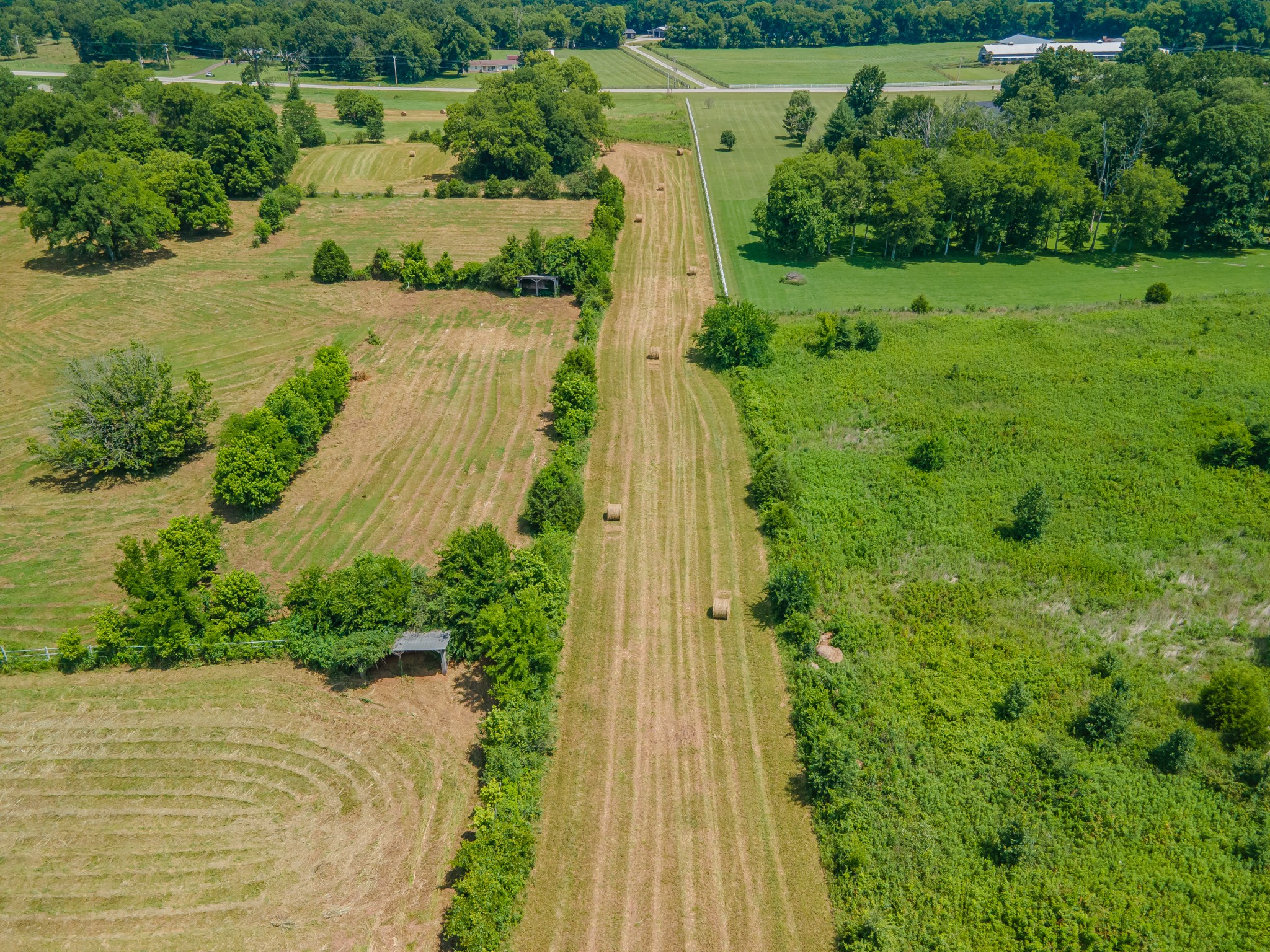 2423 Highway 64 Property Photo 33