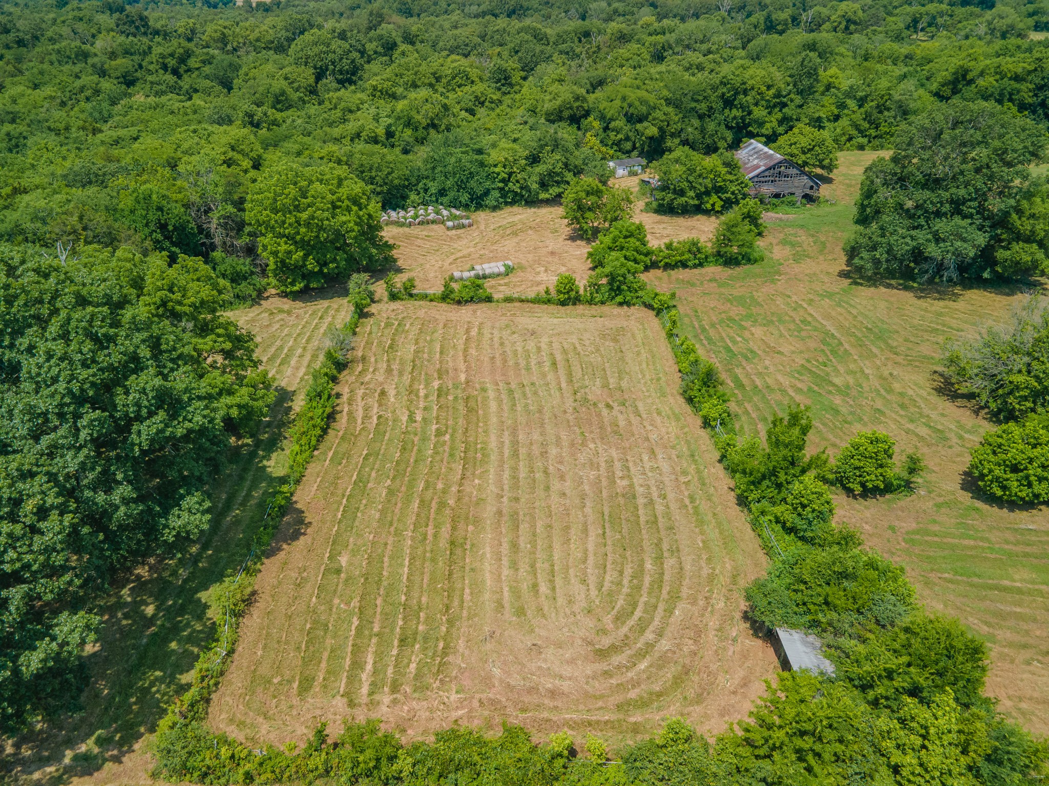 2423 Highway 64 Property Photo 34