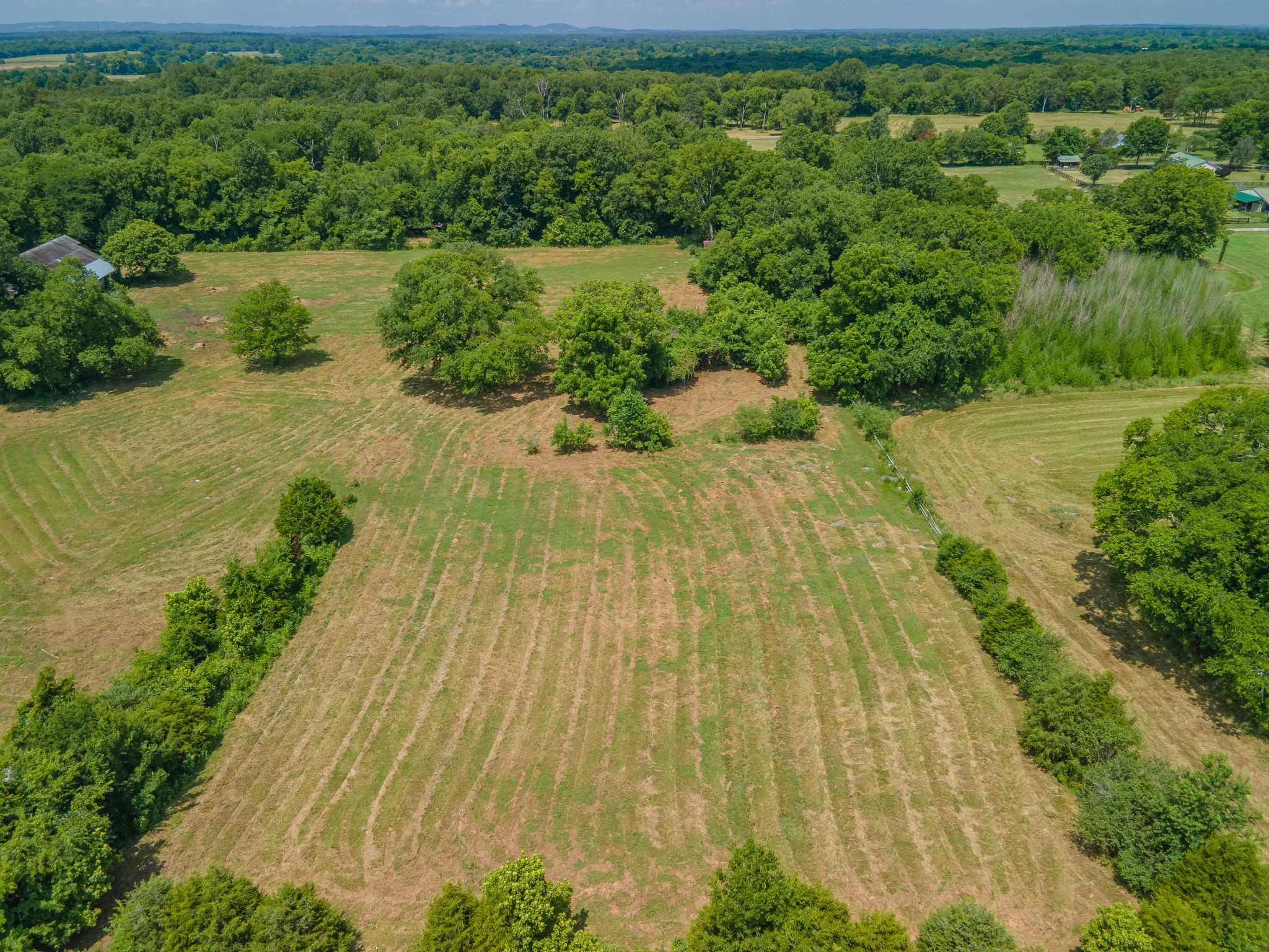 2423 Highway 64 Property Photo 36