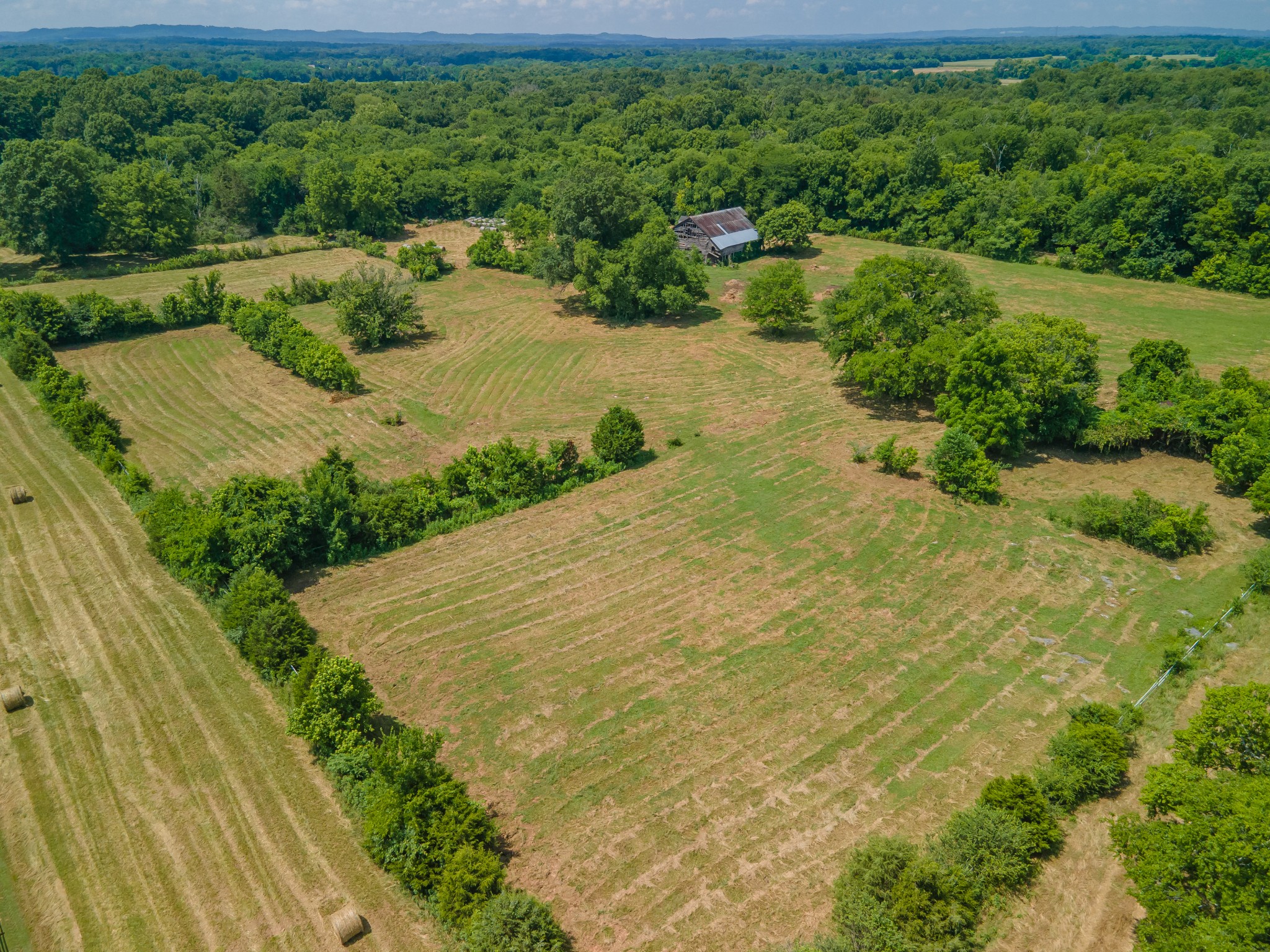 2423 Highway 64 Property Photo 37