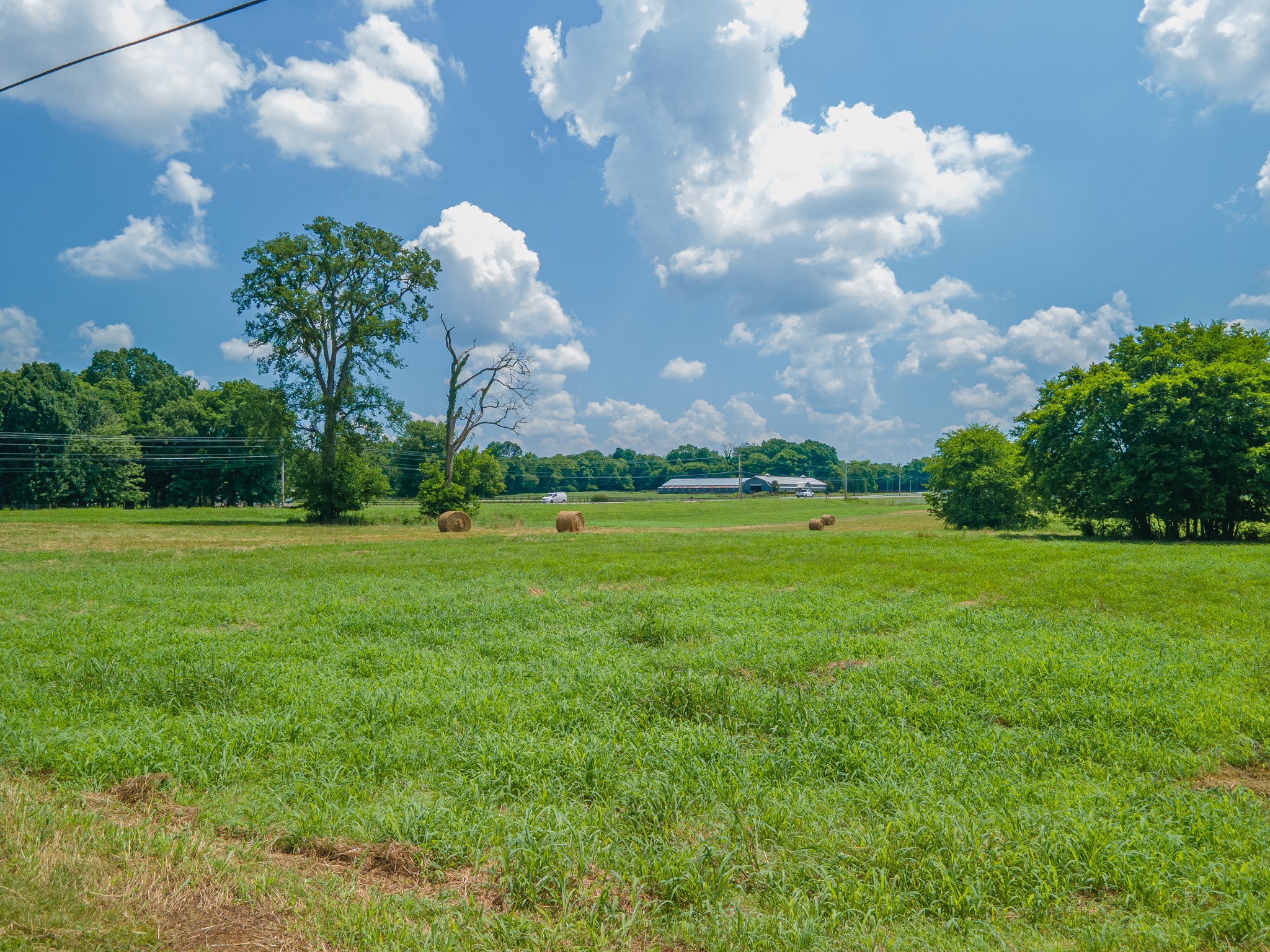 2423 Highway 64 Property Photo 49