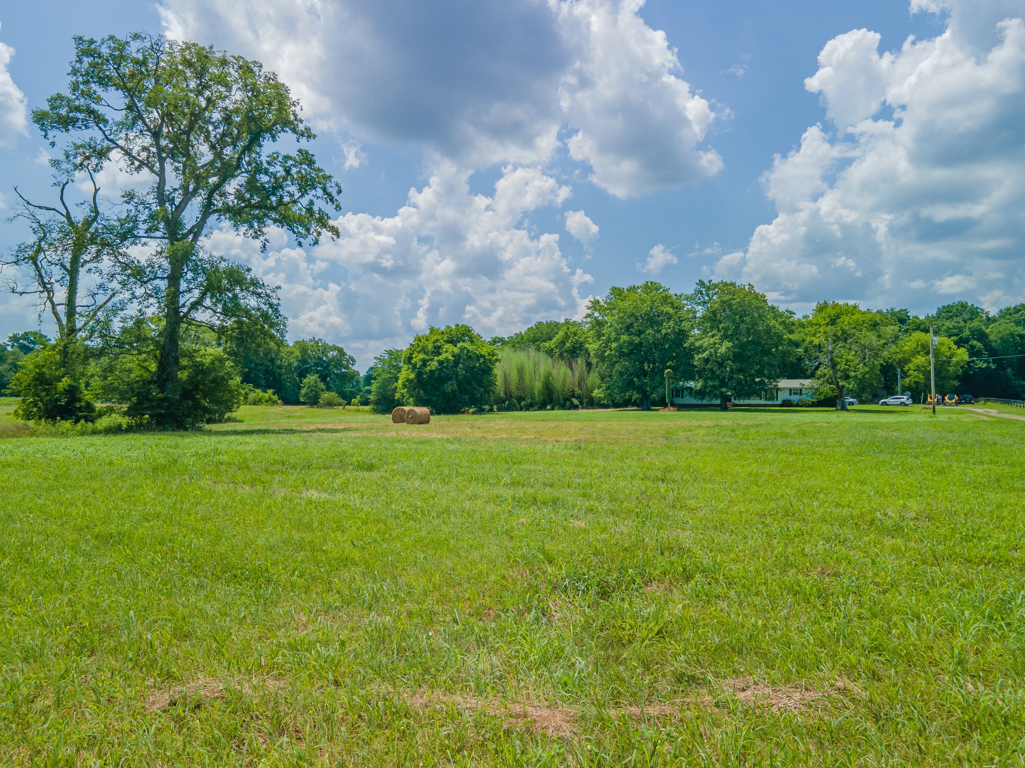 2423 Highway 64 Property Photo 50