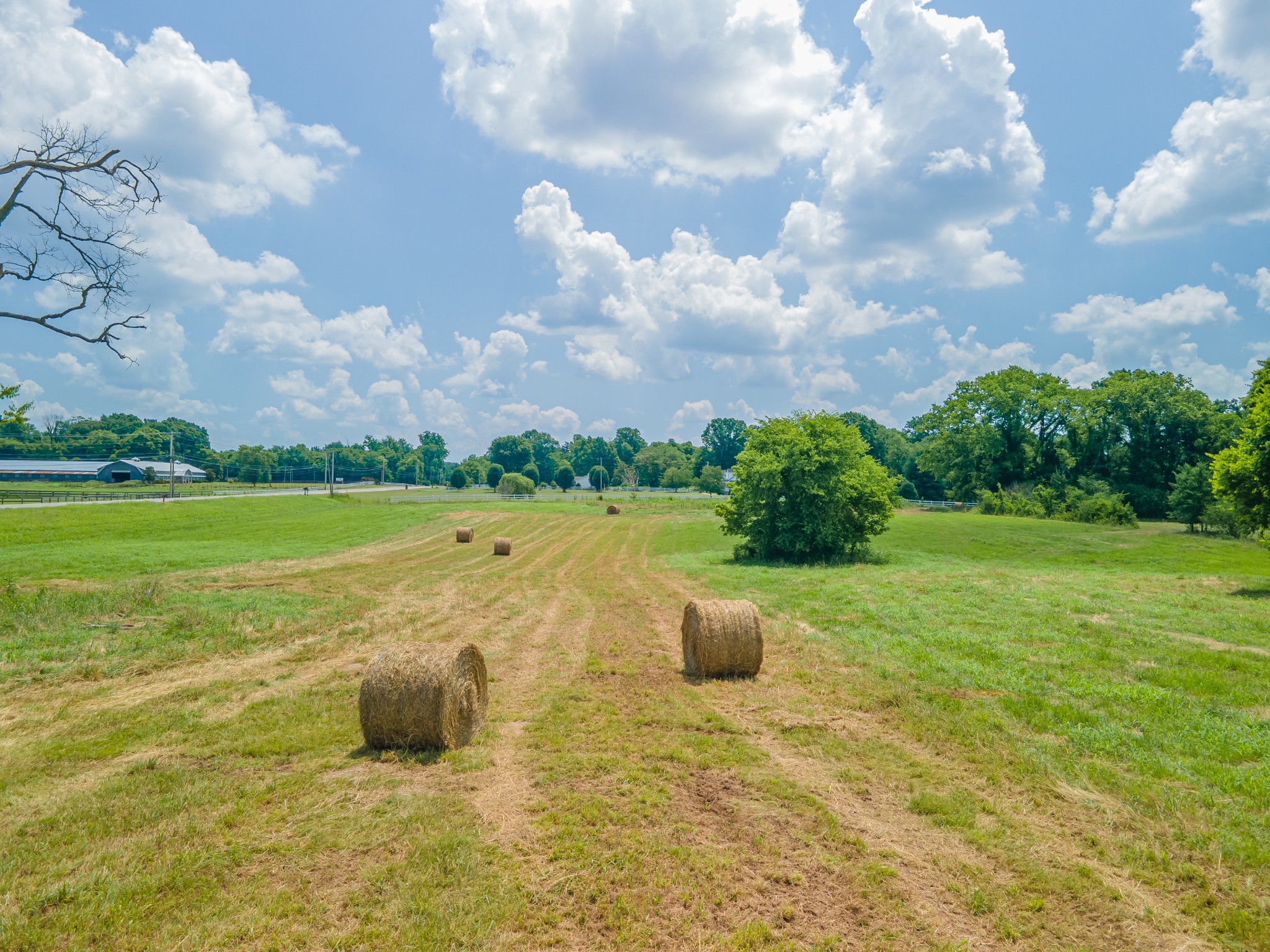 2423 Highway 64 Property Photo 51
