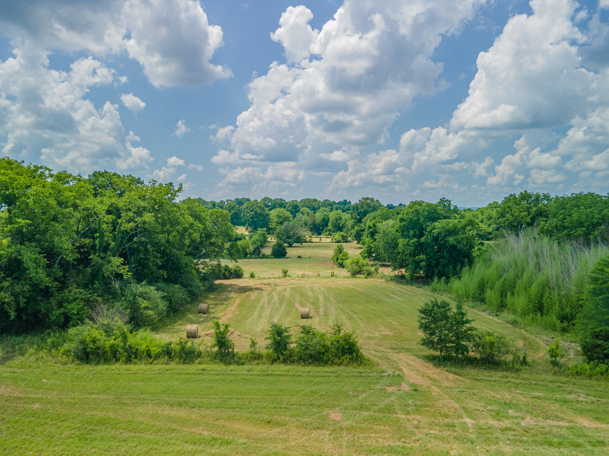 2423 Highway 64 Property Photo 52