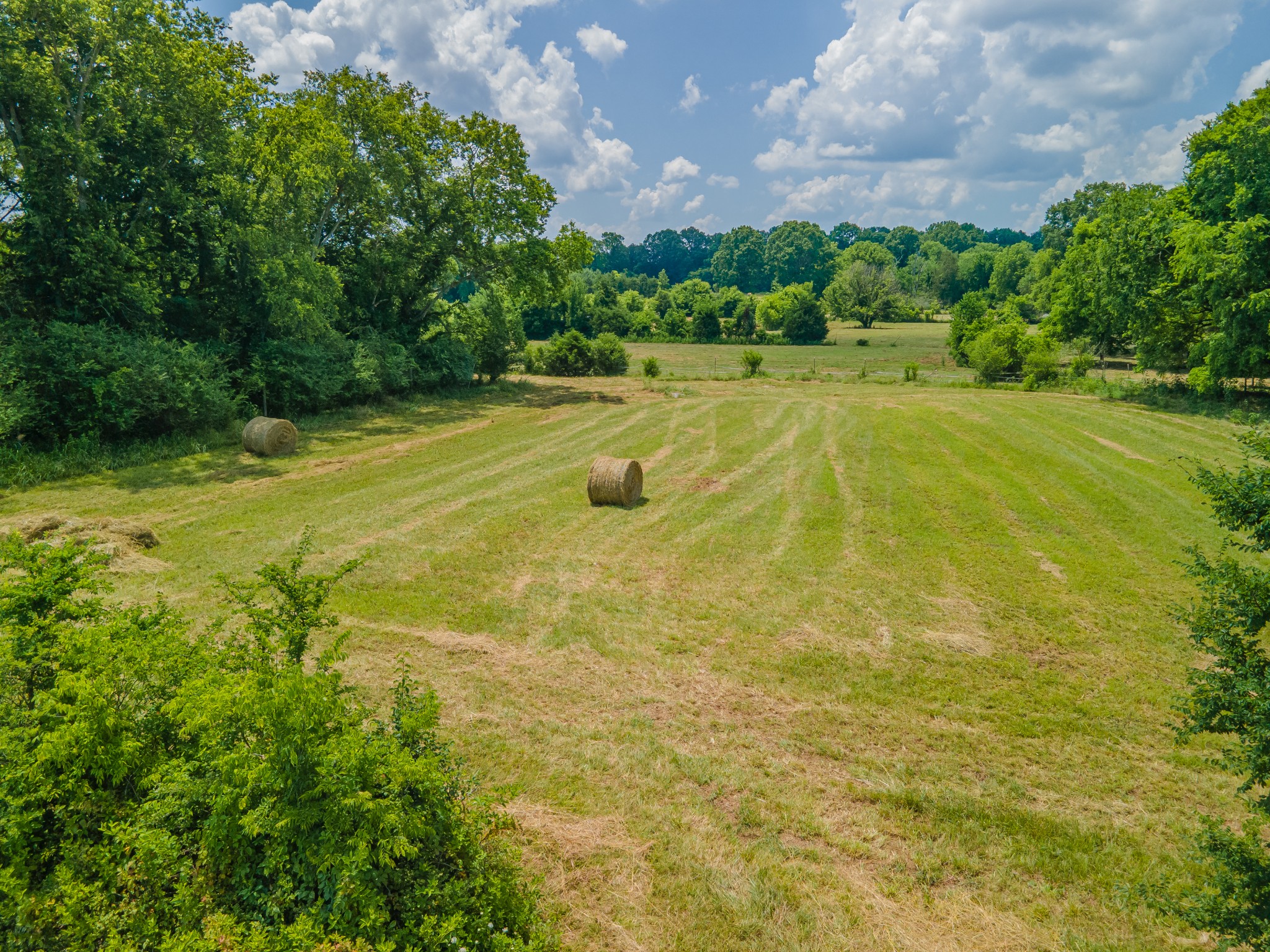 2423 Highway 64 Property Photo 53