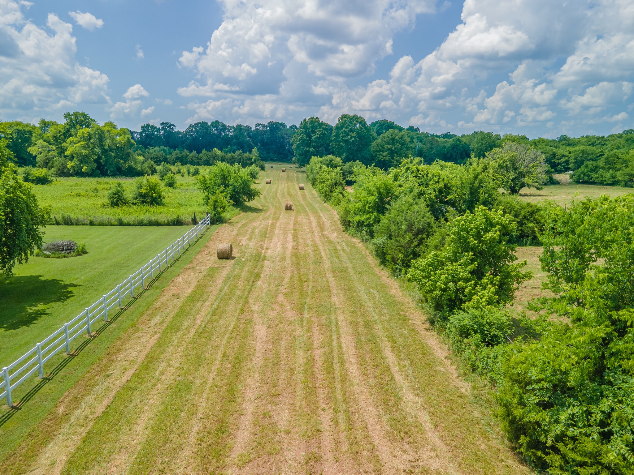 2423 Highway 64 Property Photo 55