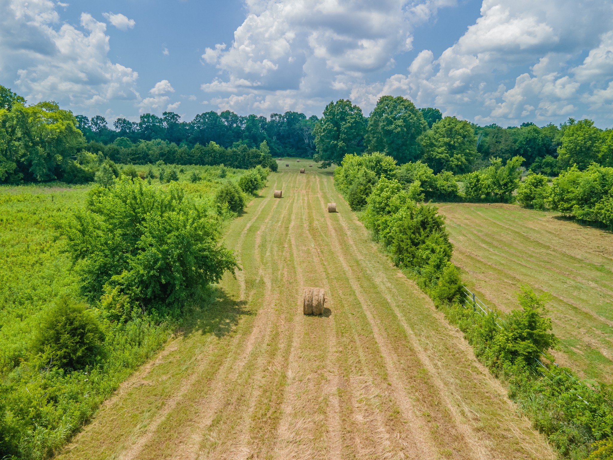 2423 Highway 64 Property Photo 56