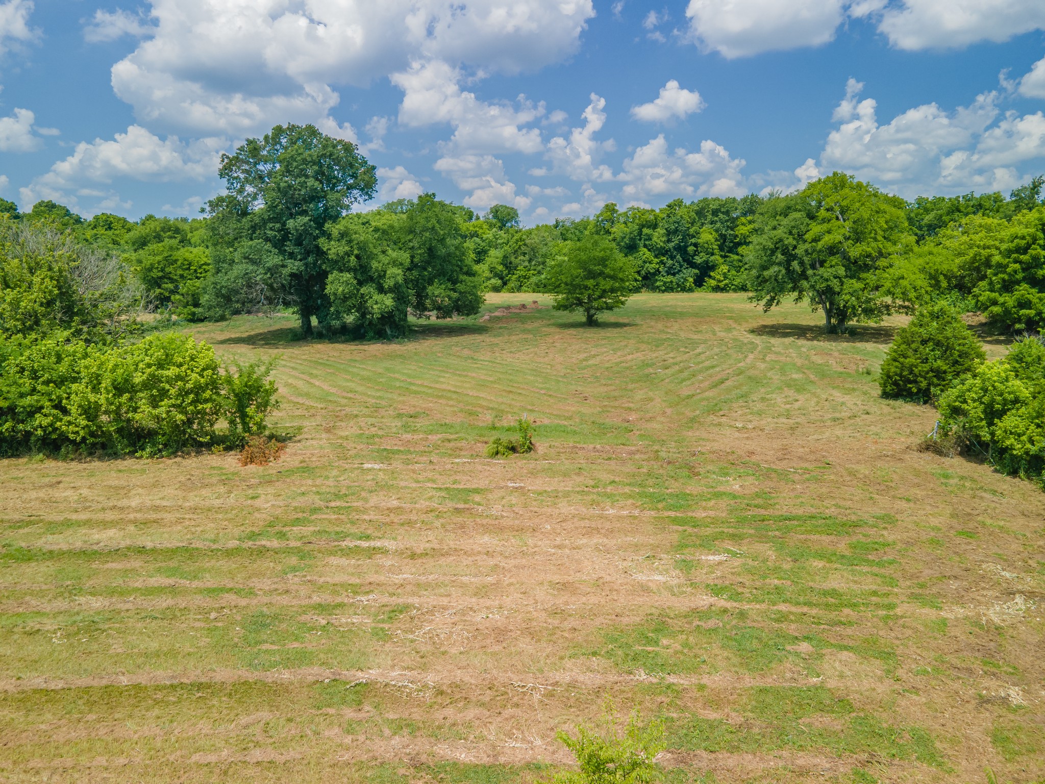 2423 Highway 64 Property Photo 57