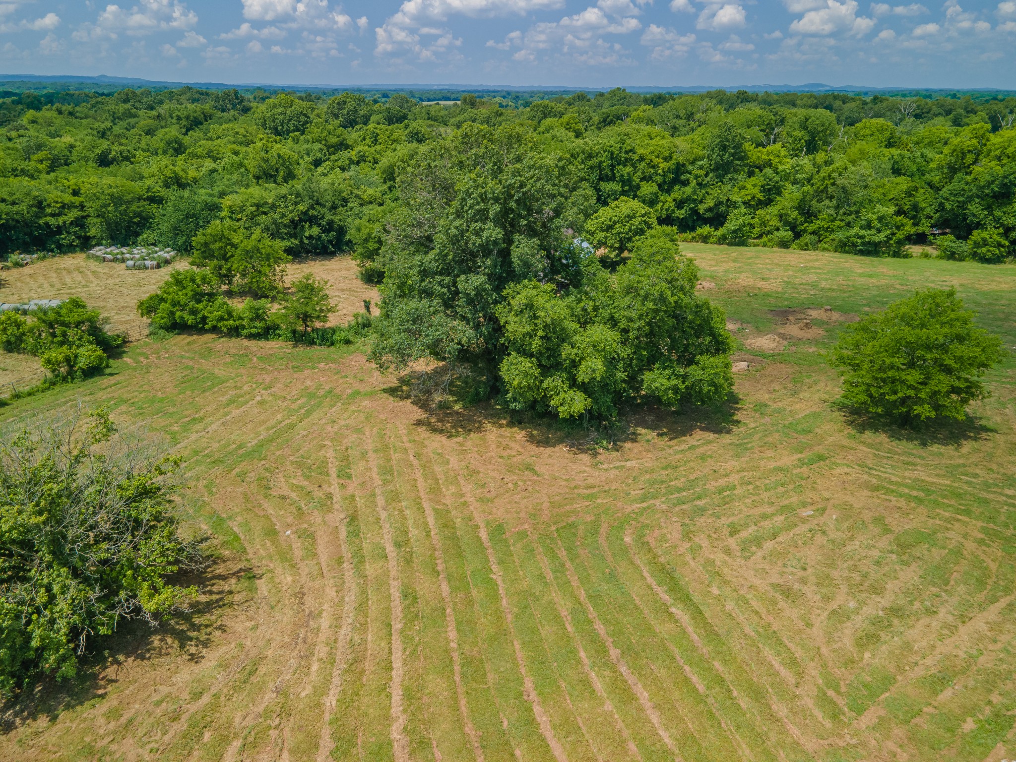 2423 Highway 64 Property Photo 58