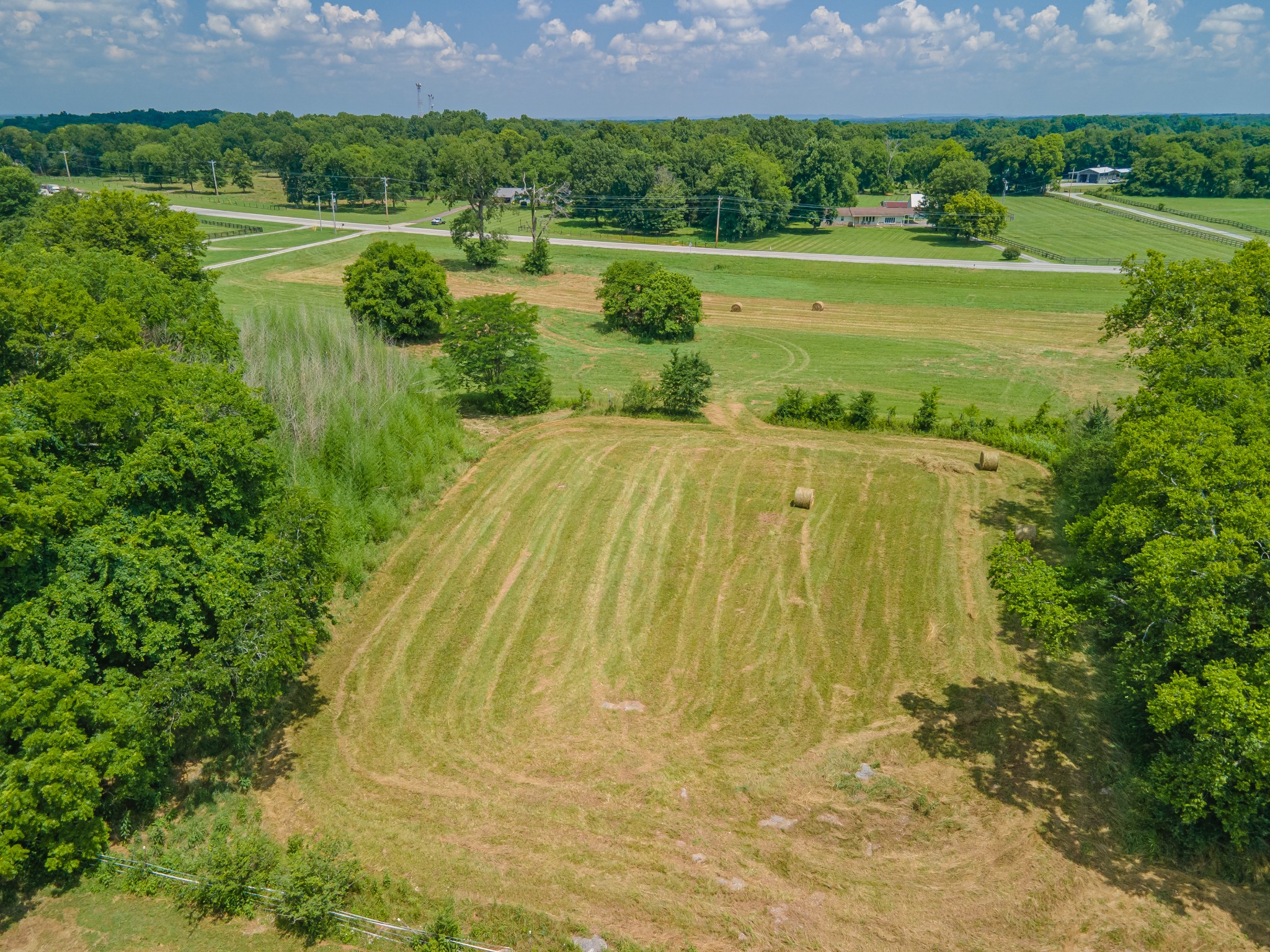 2423 Highway 64 Property Photo 59