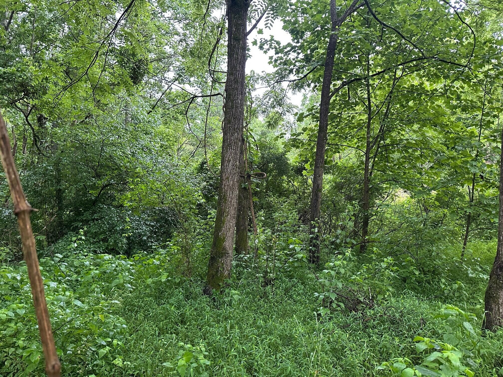 3 Saw Mill Road Property Photo 1