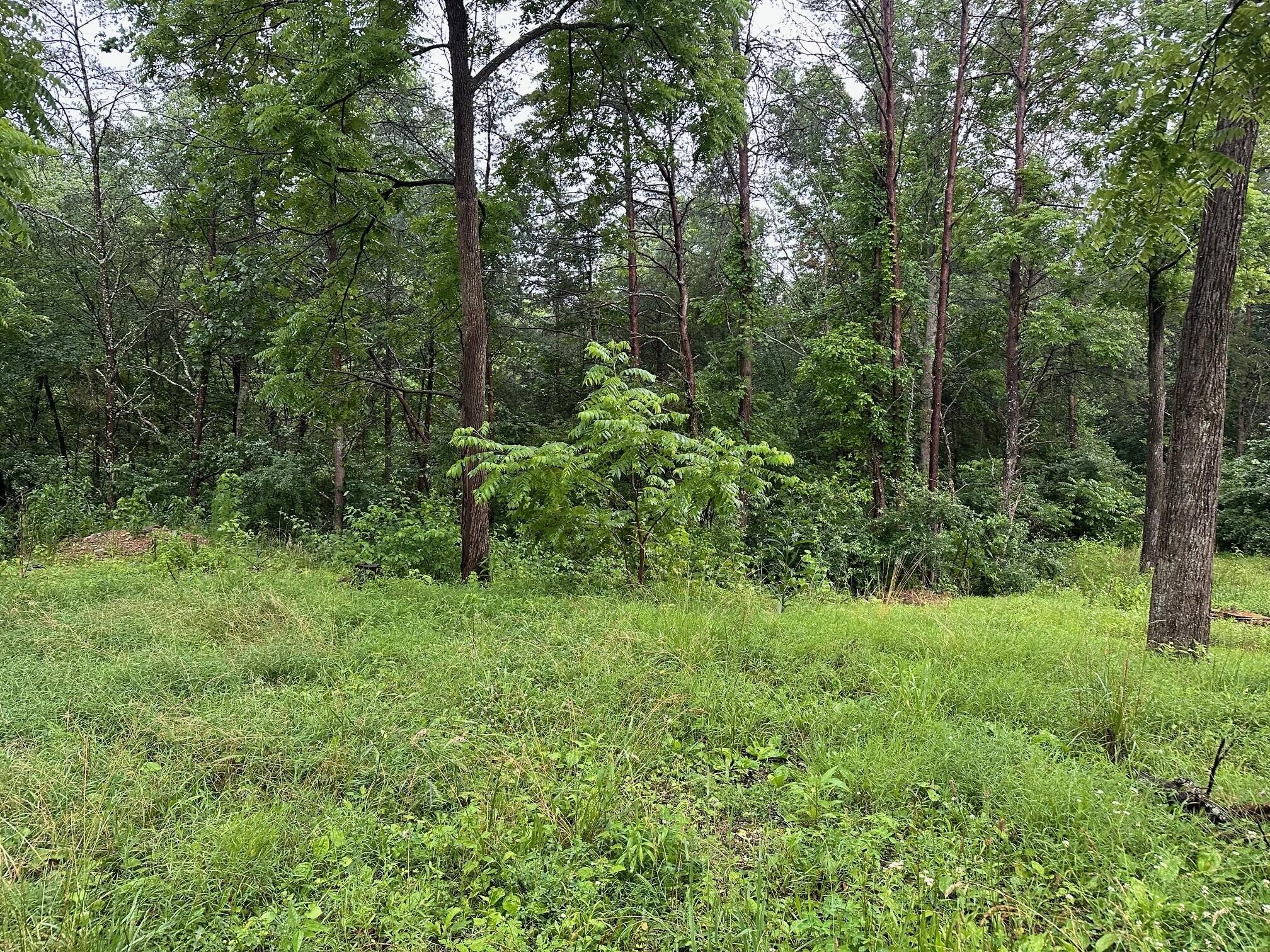 4 Saw Mill Road Property Photo 2