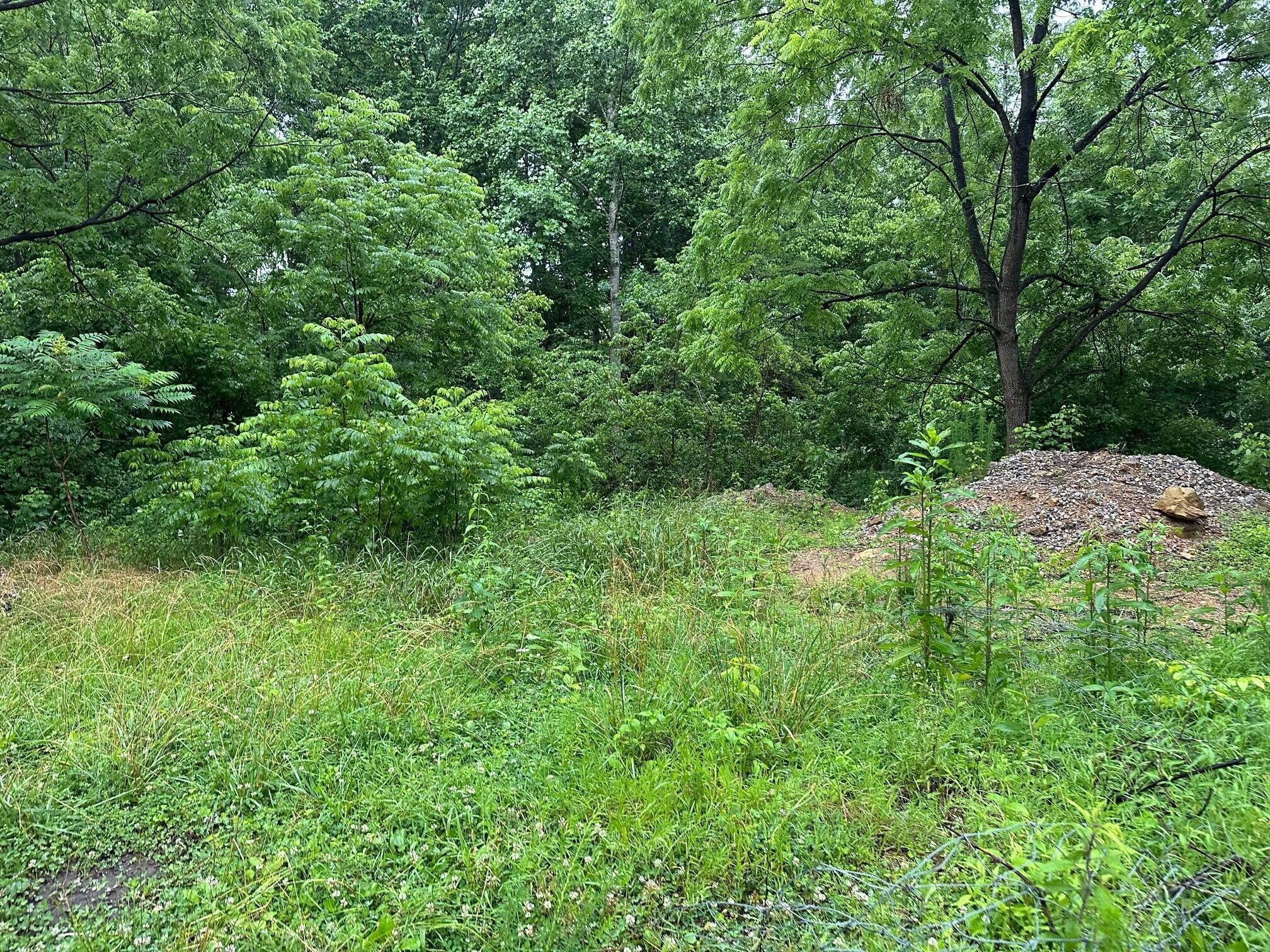 4 Saw Mill Road Property Photo 4