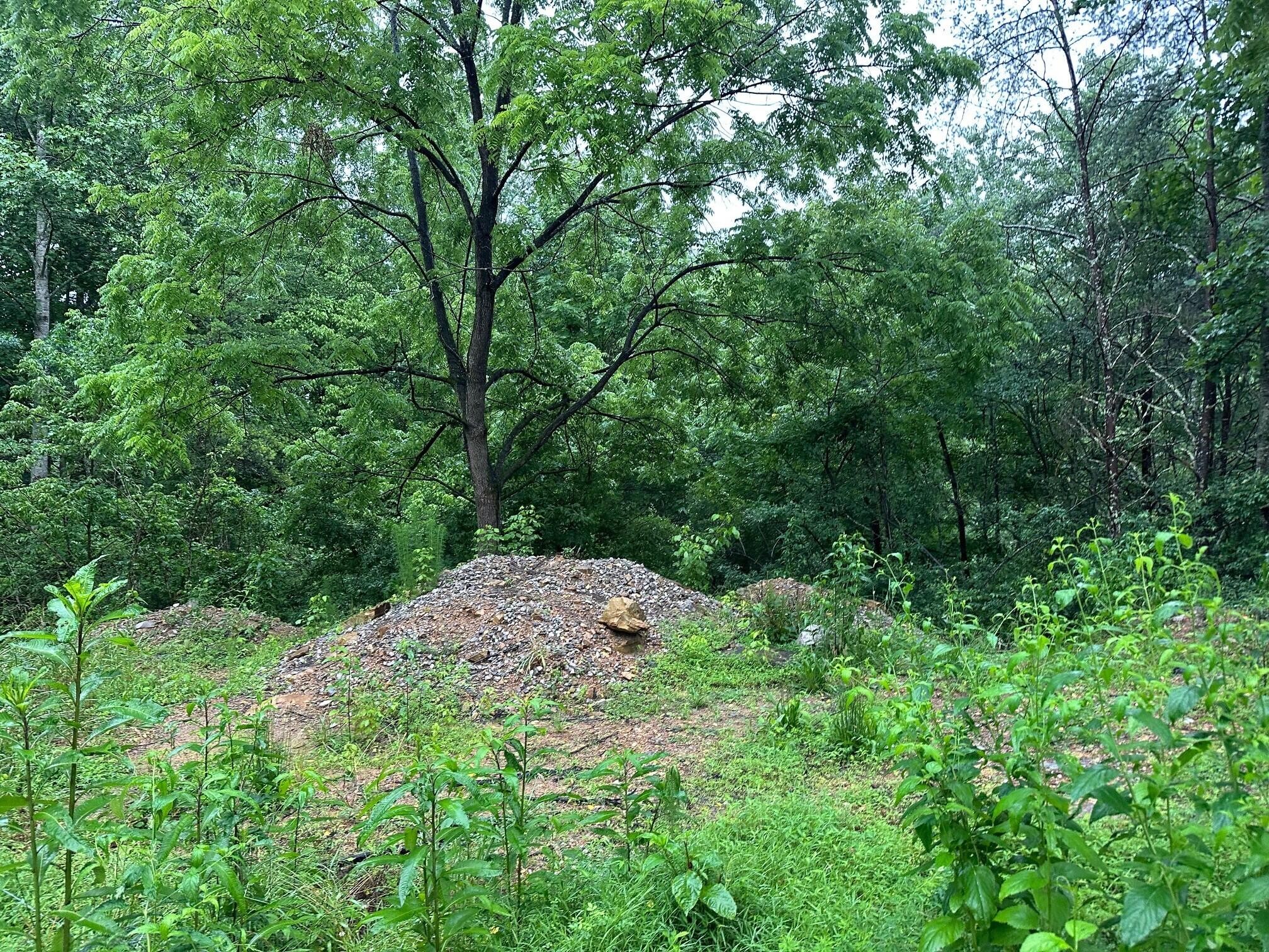 4 Saw Mill Road Property Photo 5