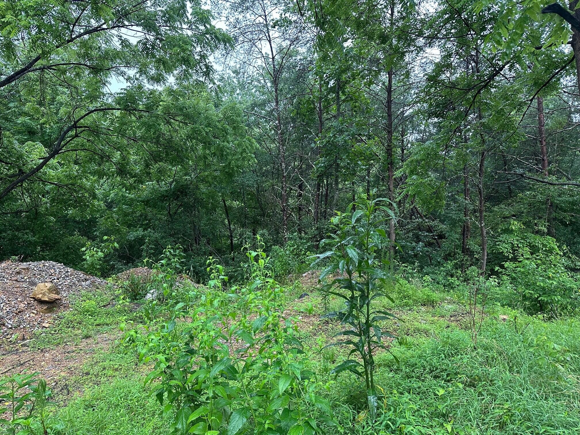 4 Saw Mill Road Property Photo 6