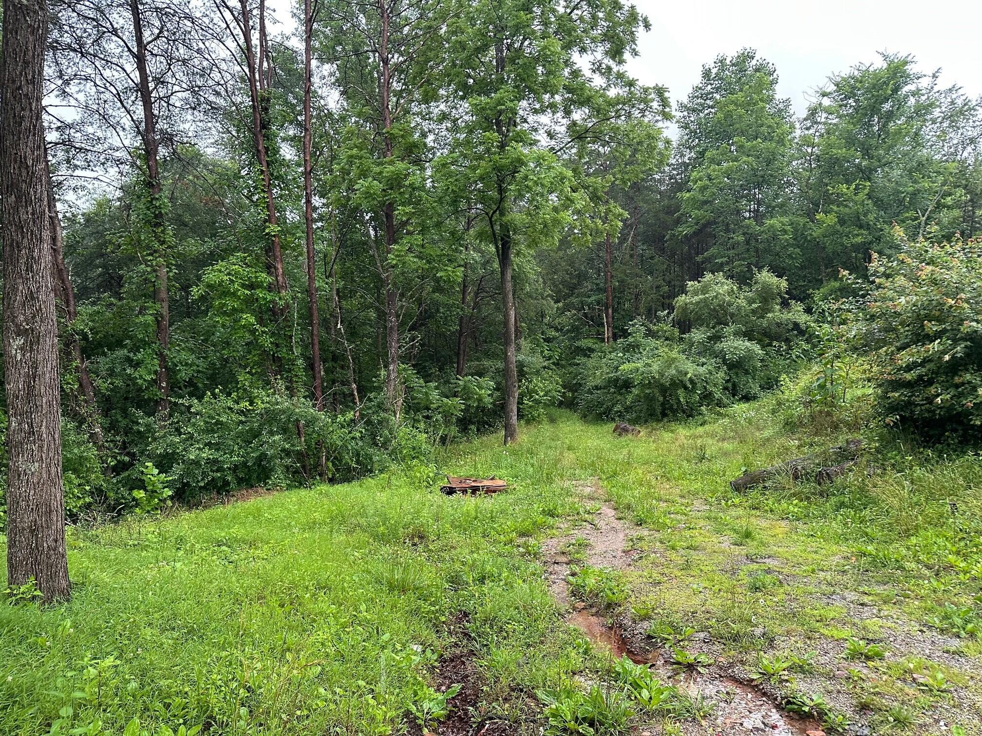 4 Saw Mill Road Property Photo 7