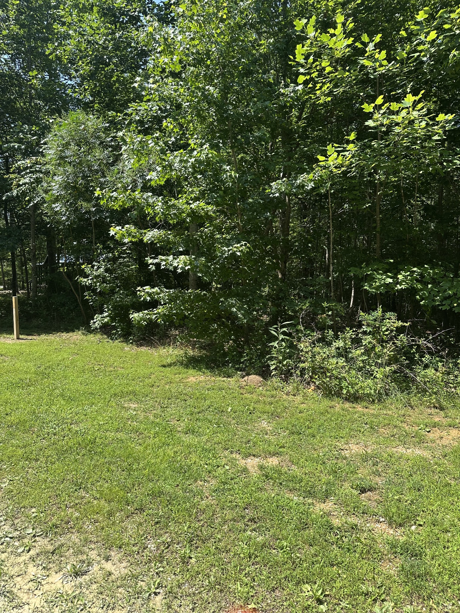 154 Sunset Bluff Way Property Photo 2