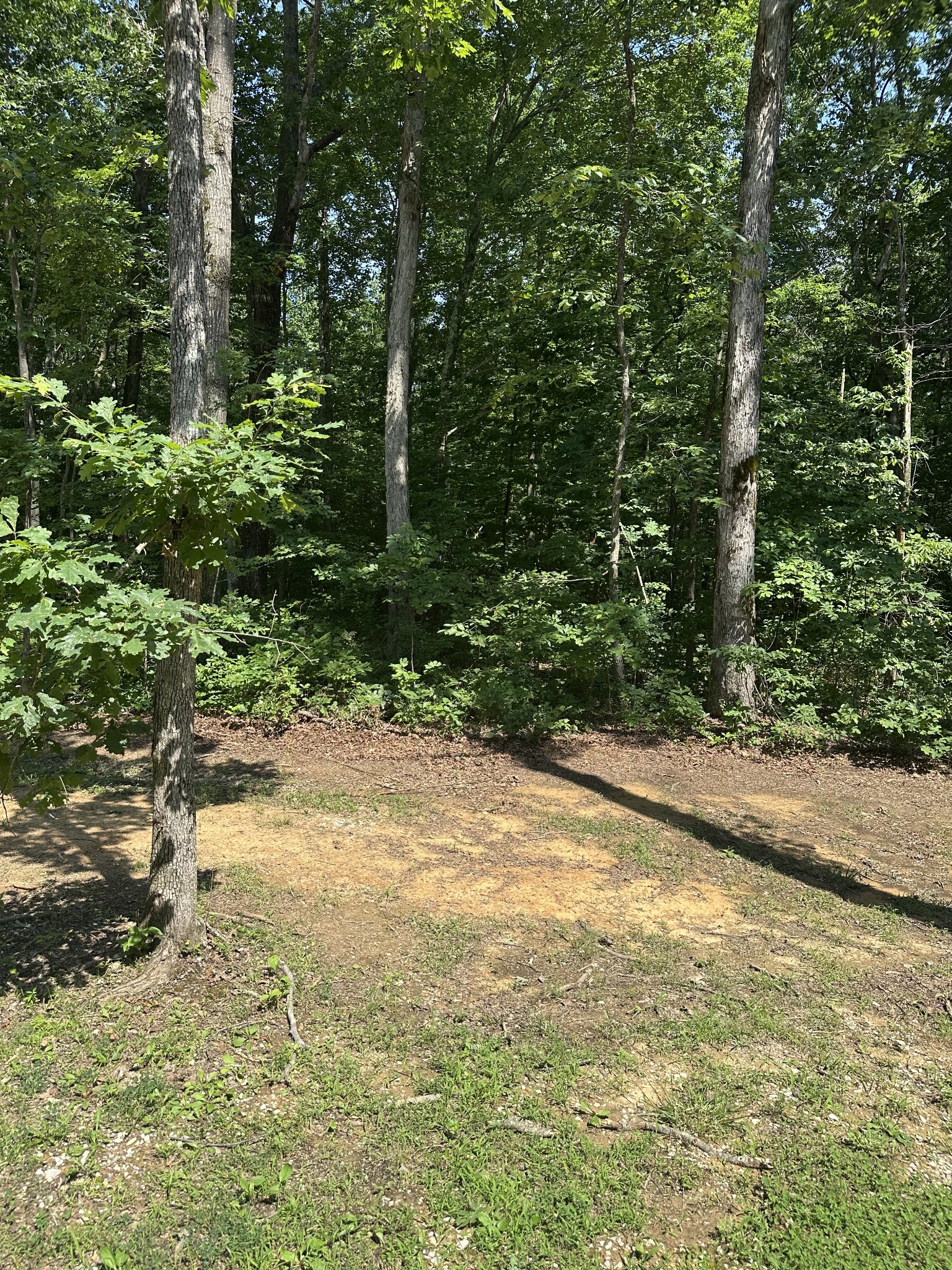 27 Mossy Rock Ln Property Photo 2