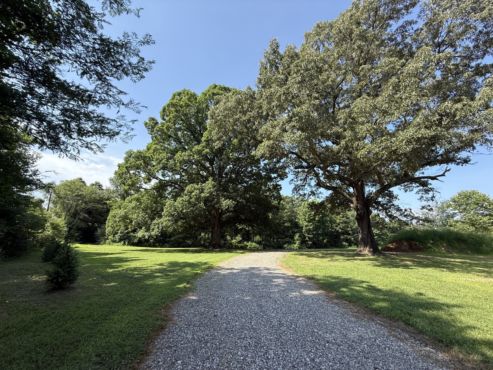 1000 Highway 138 Property Photo 6