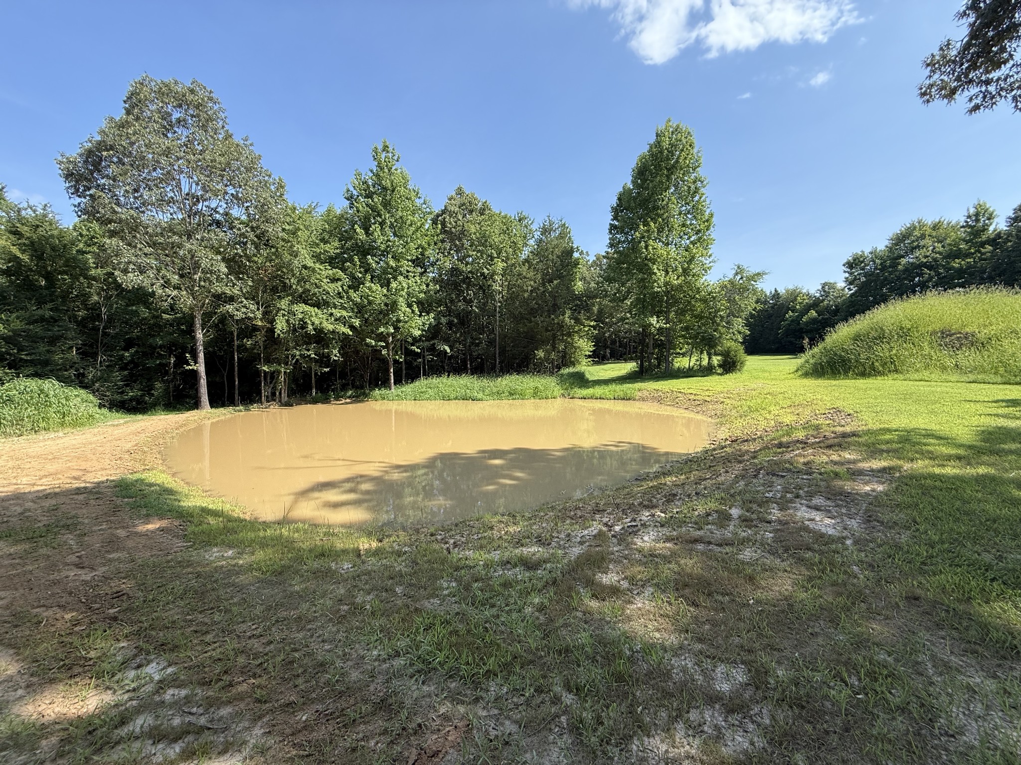 1000 Highway 138 Property Photo 8