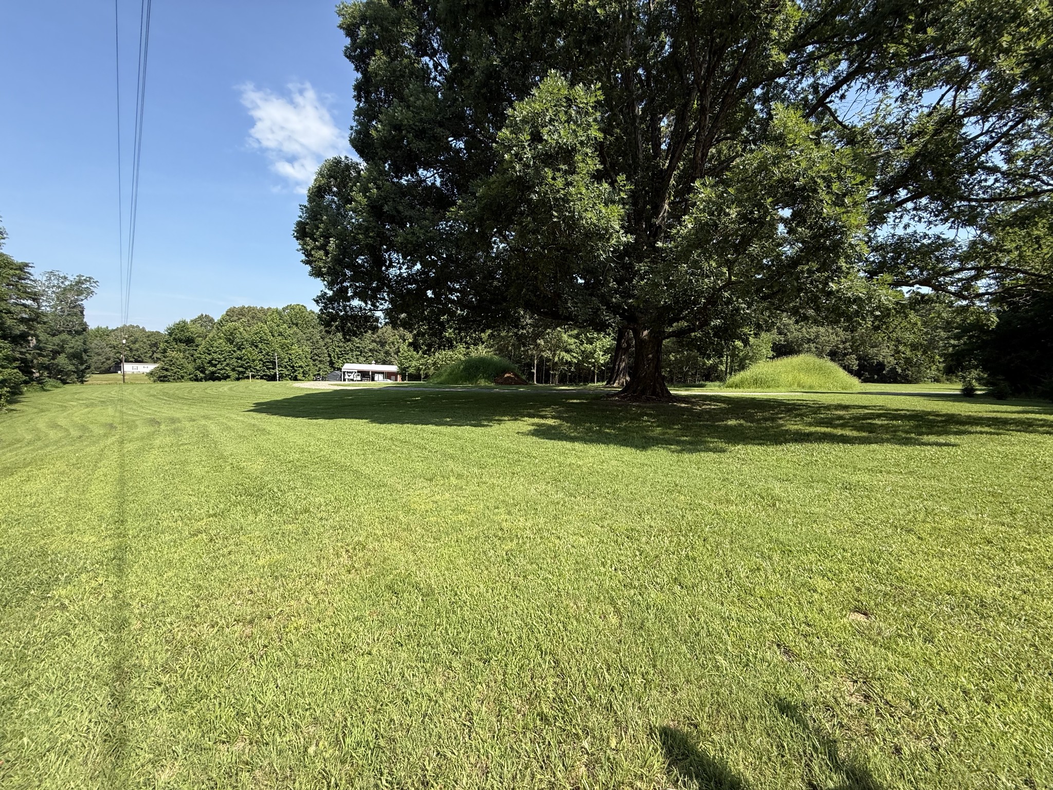1000 Highway 138 Property Photo 12