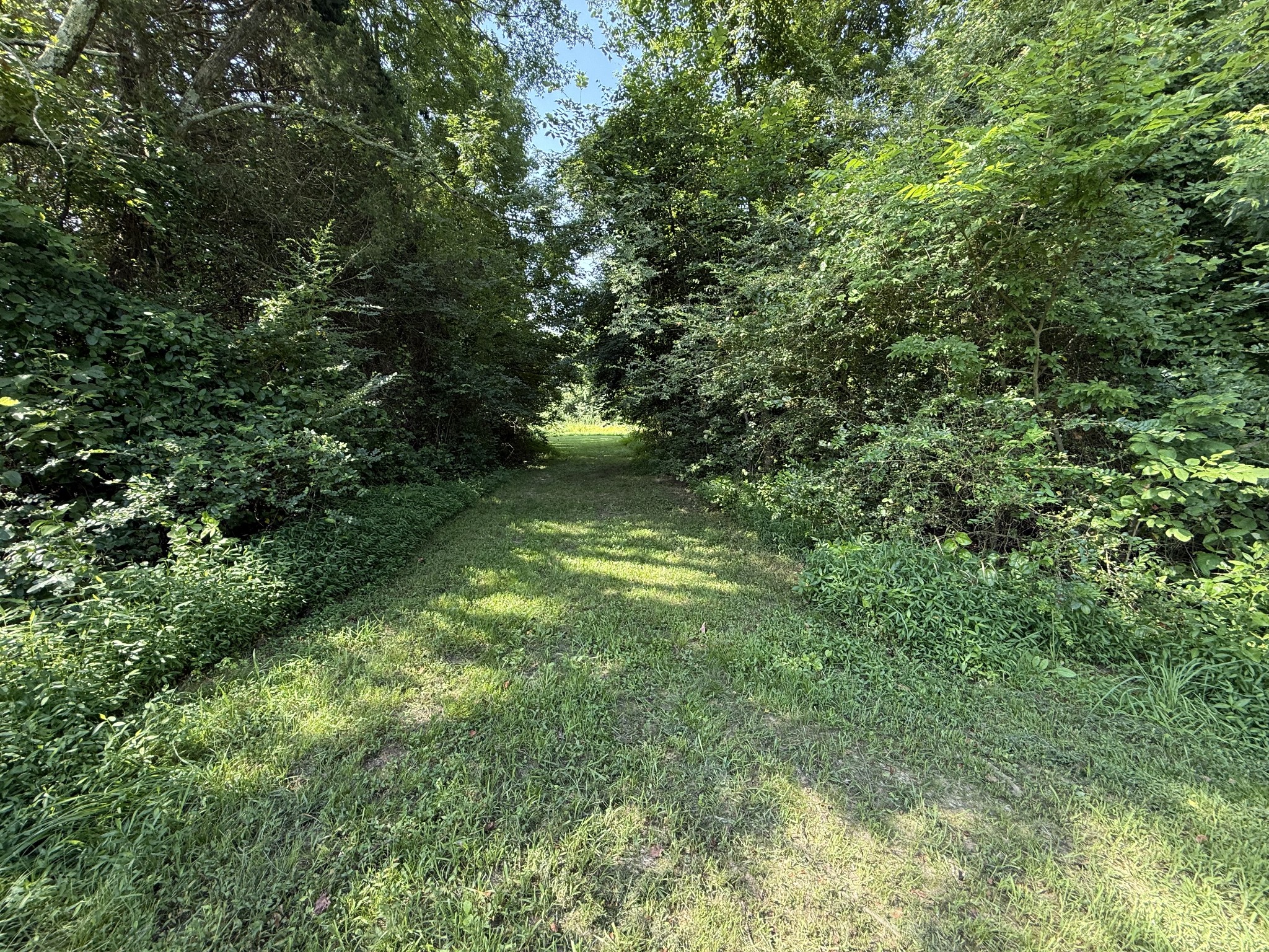 1000 Highway 138 Property Photo 16