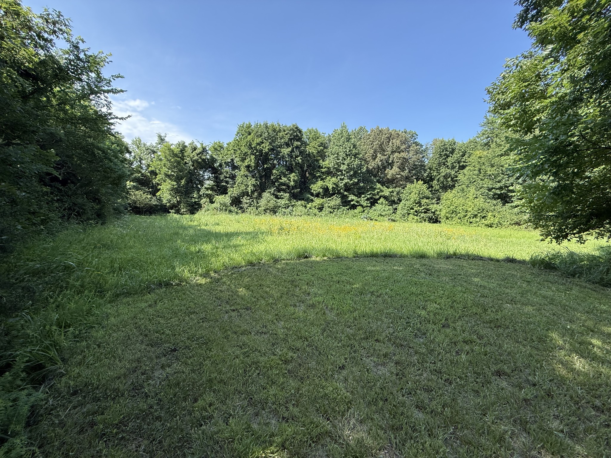 1000 Highway 138 Property Photo 17