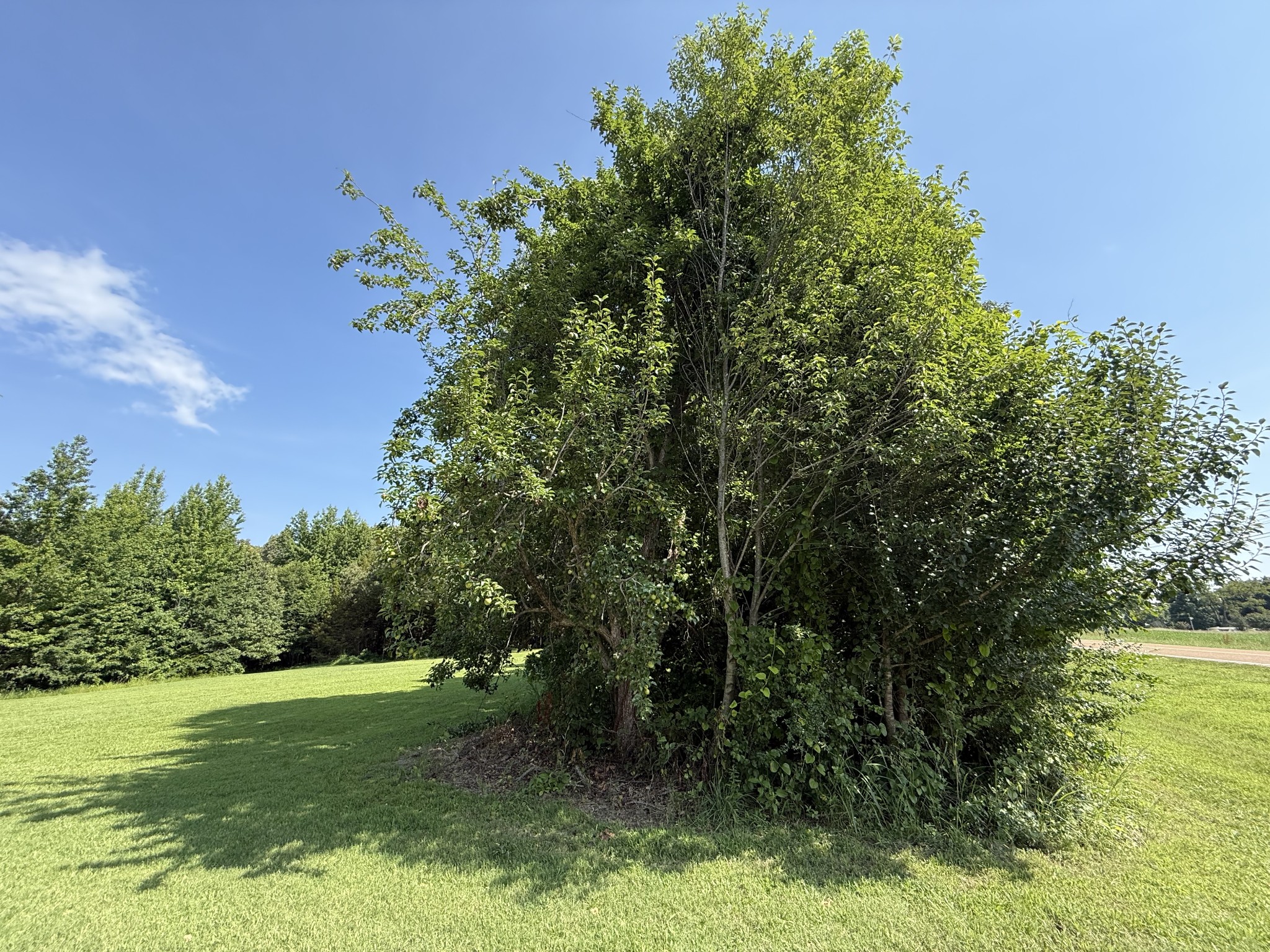 1000 Highway 138 Property Photo 18