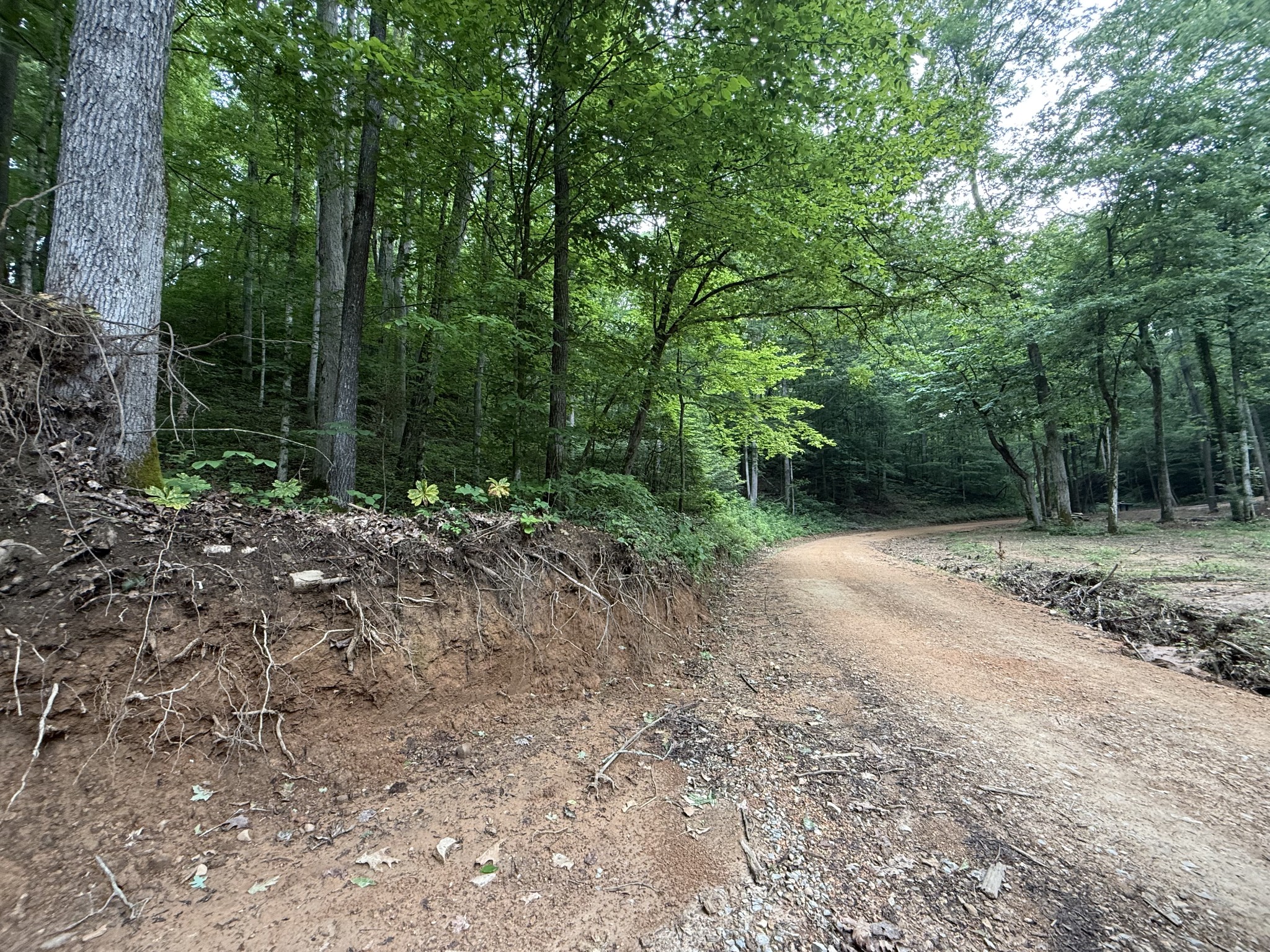 0 Hassell Creek Rd Property Photo 2