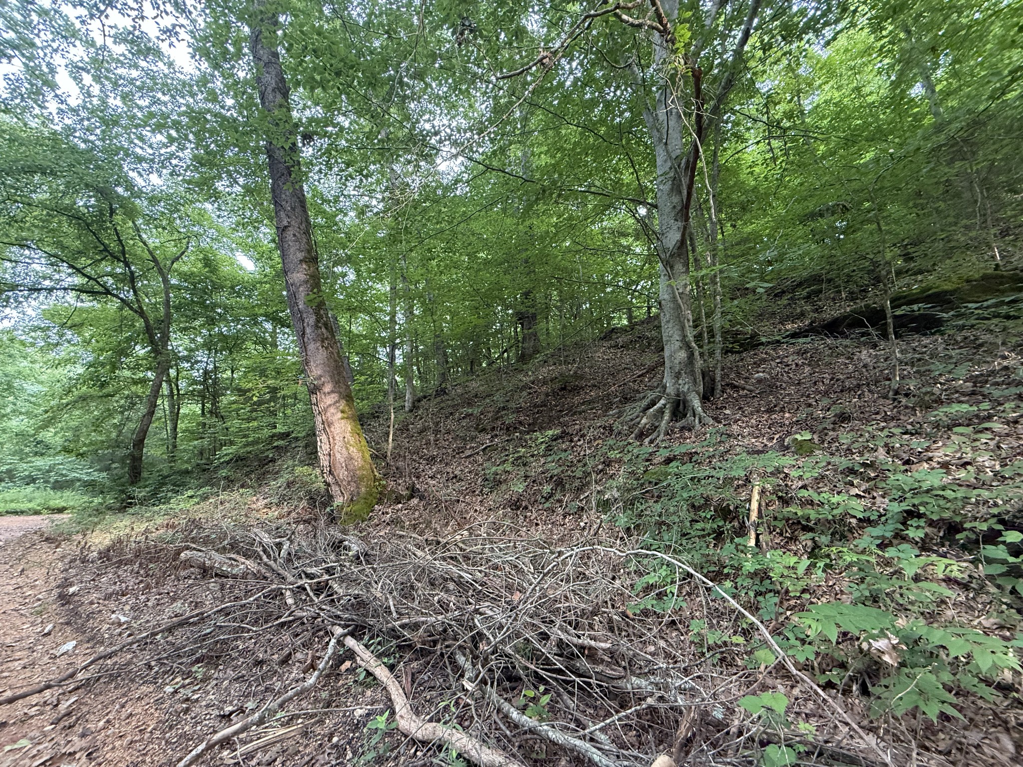 0 Hassell Creek Rd Property Photo 8