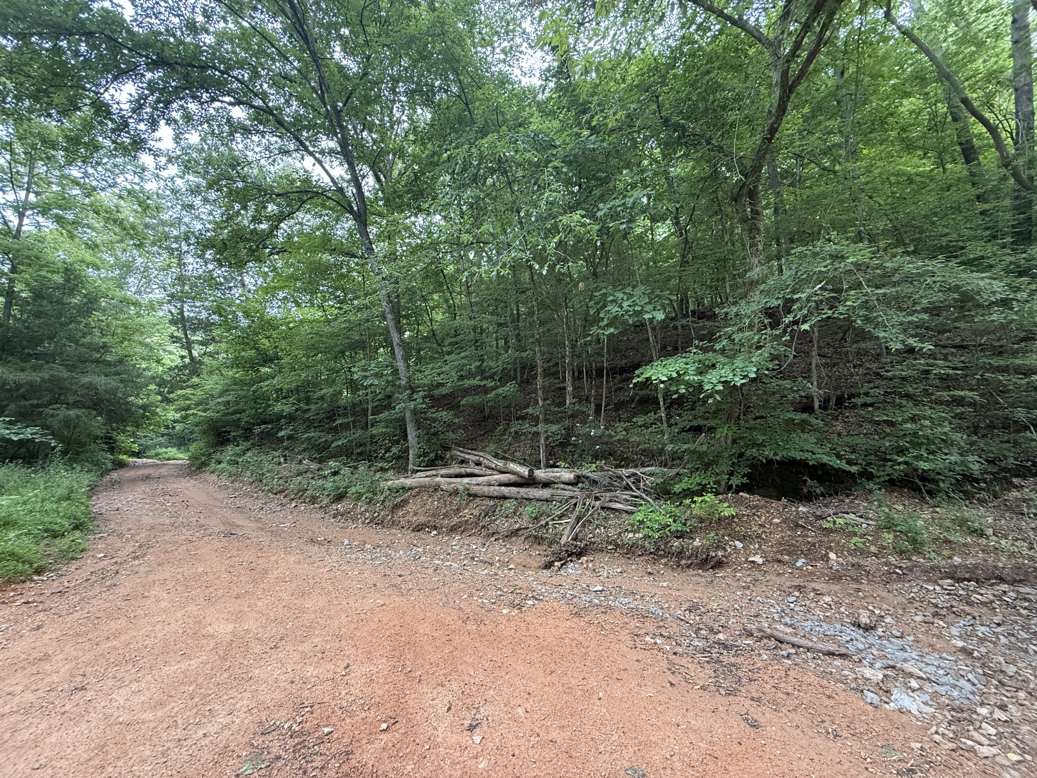0 Hassell Creek Rd Property Photo 10