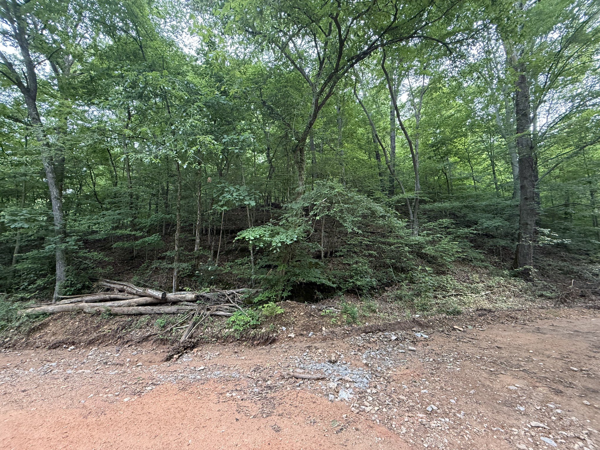 0 Hassell Creek Rd Property Photo 11