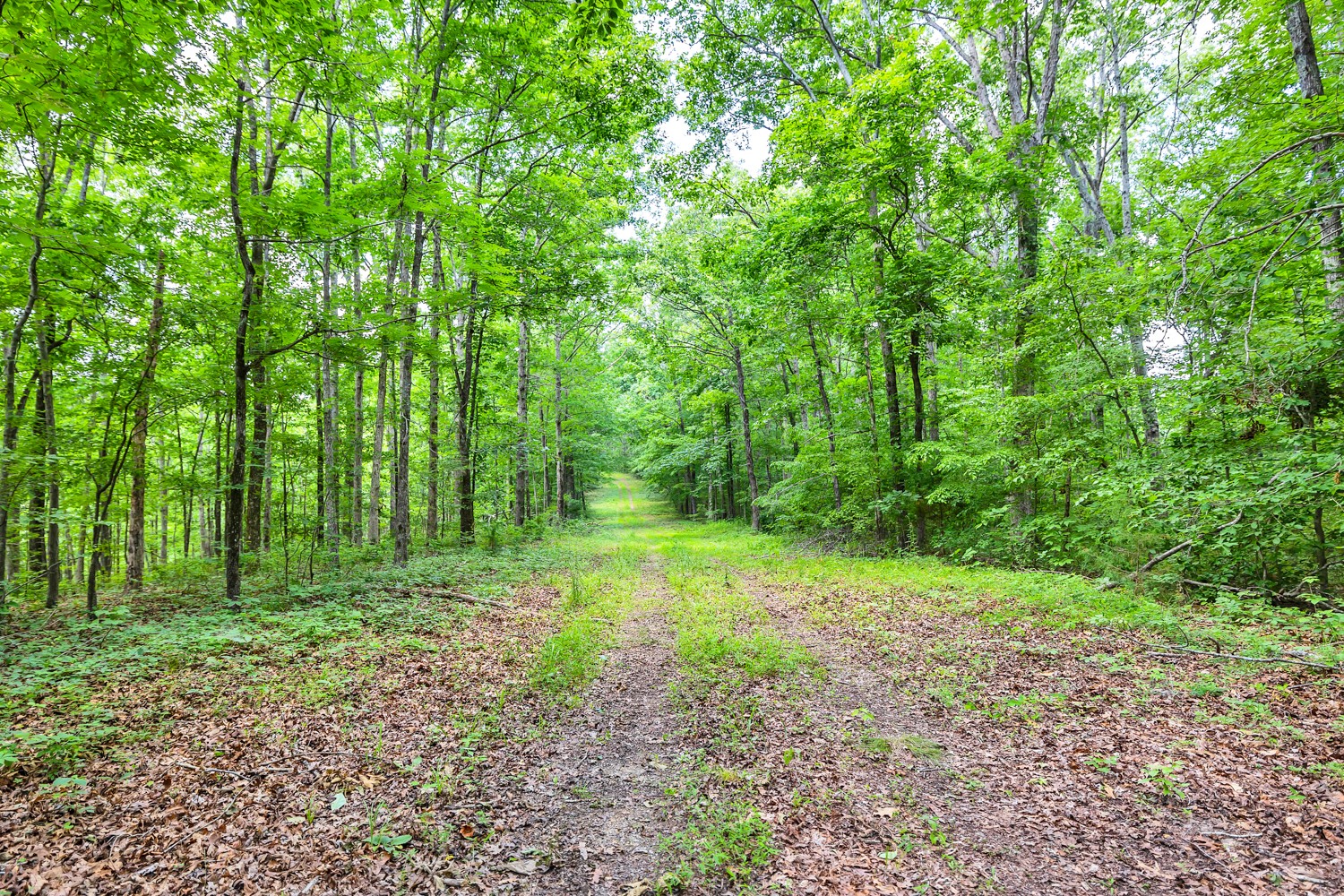 5185 Old Harding Rd Property Photo 13