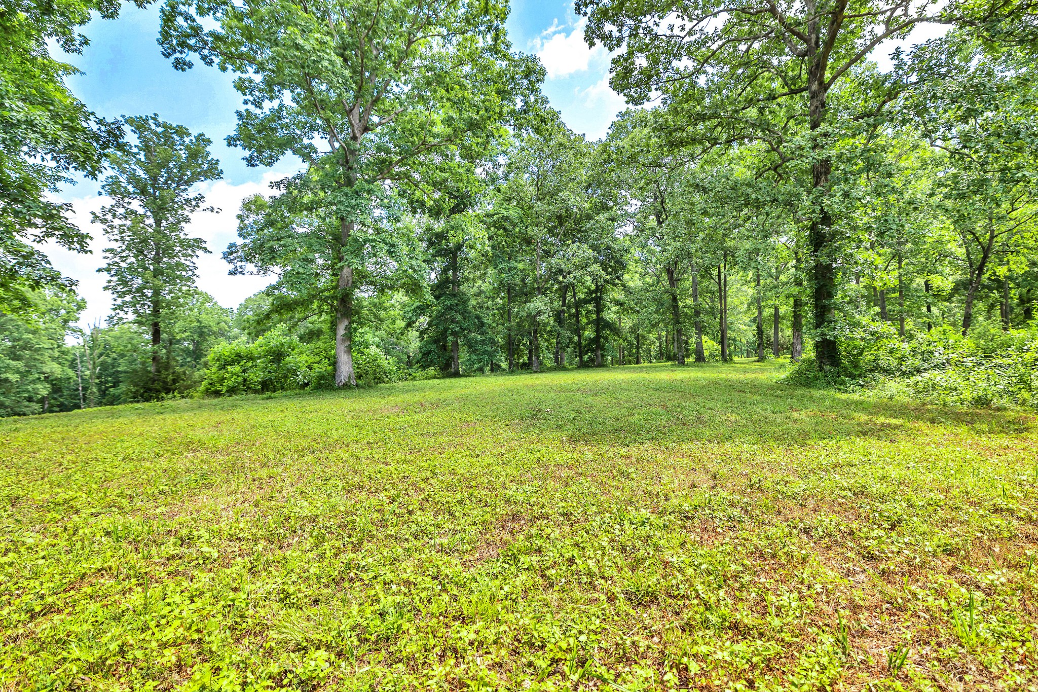 5185 Old Harding Rd Property Photo 19