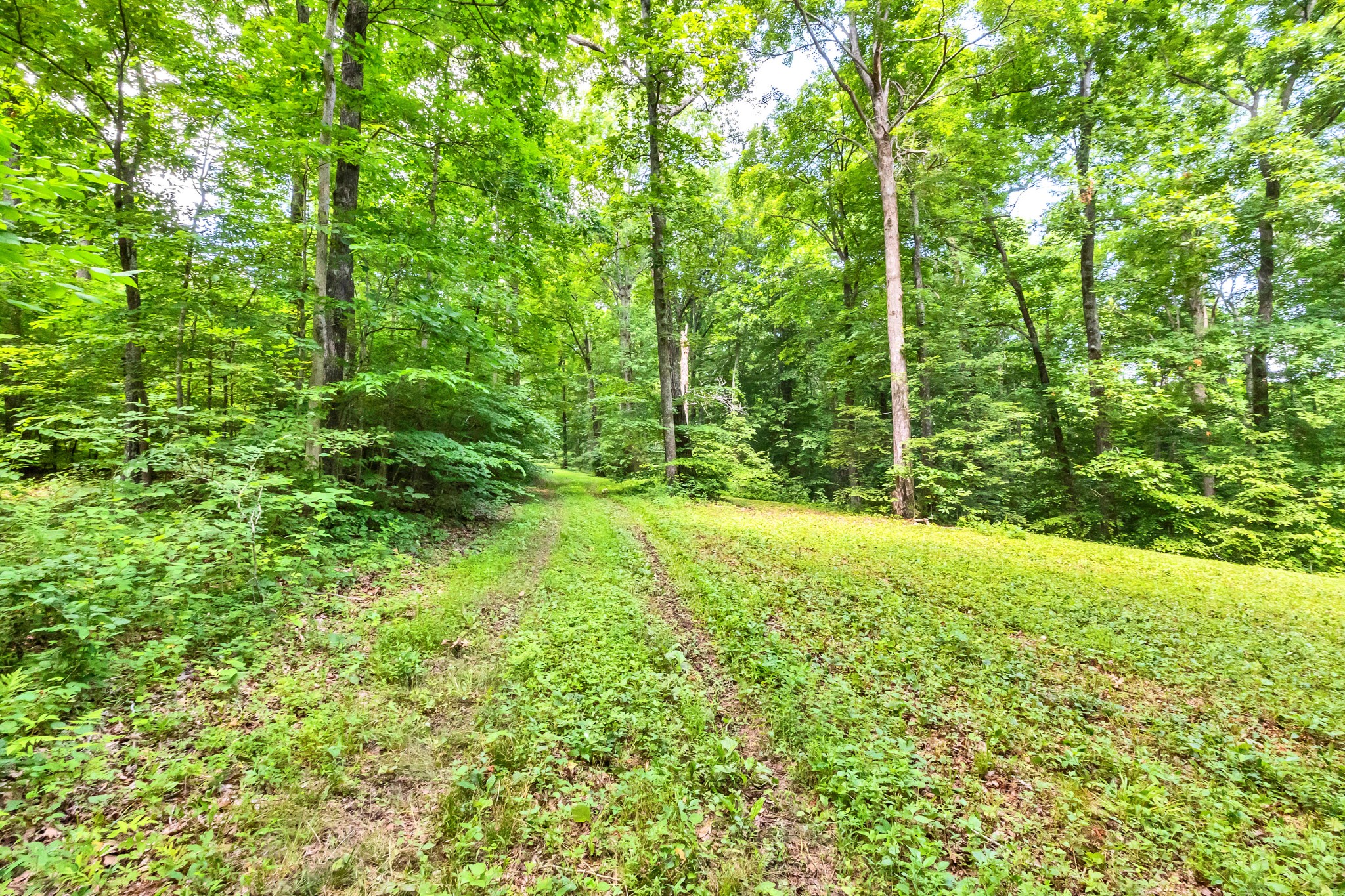 5185 Old Harding Rd Property Photo 22