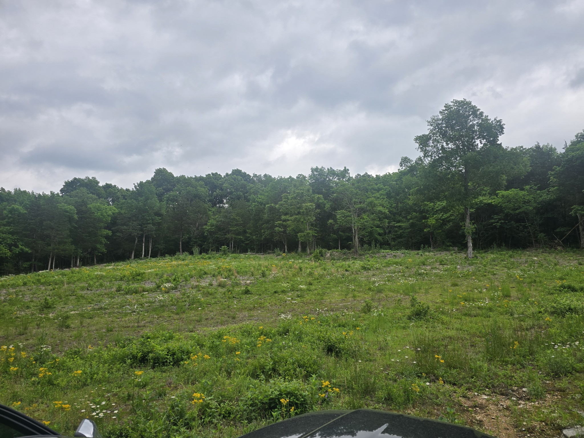 0 Tom Littlejohn Rd Property Photo 1