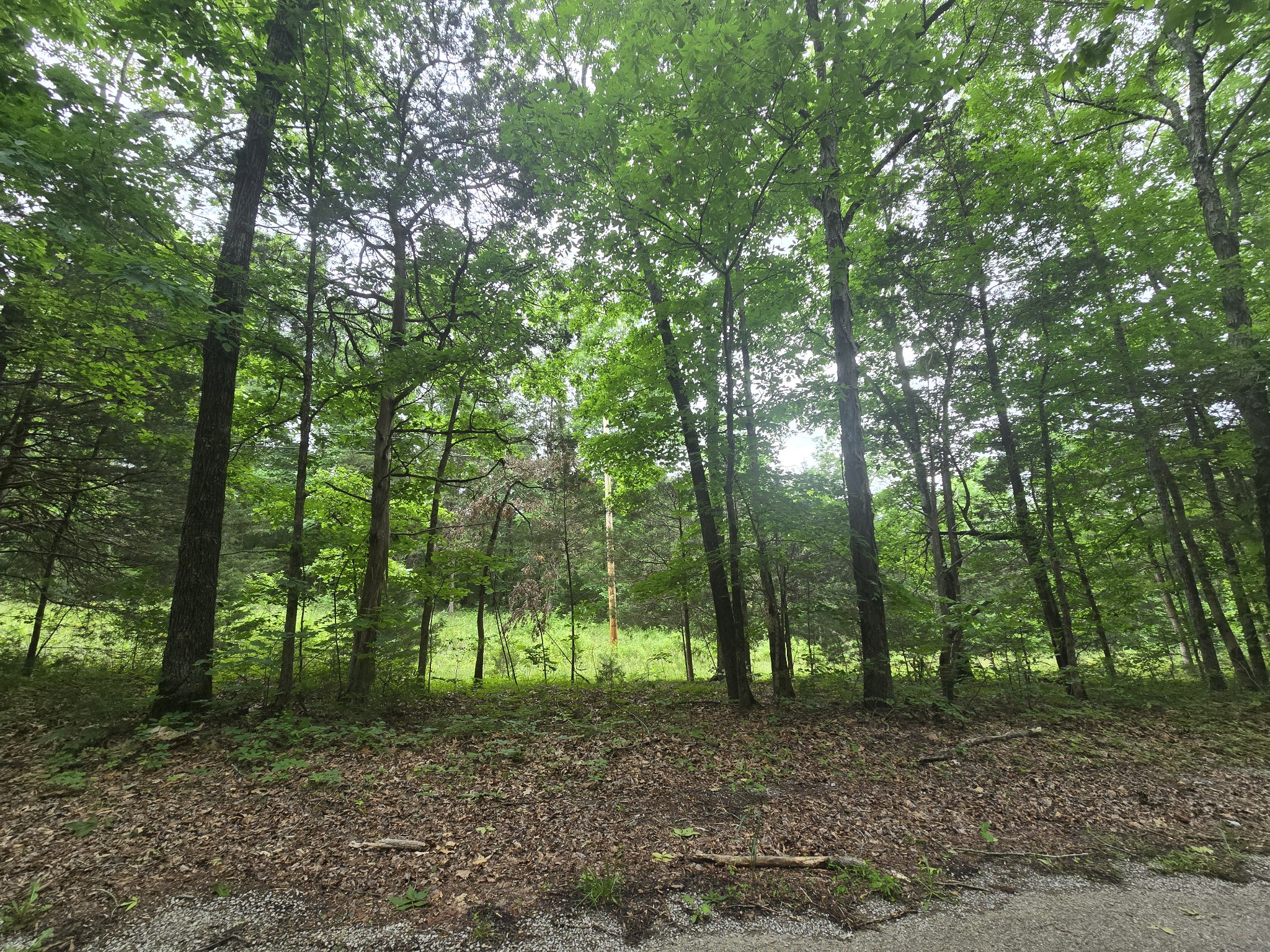 0 Tom Littlejohn Rd Property Photo 2
