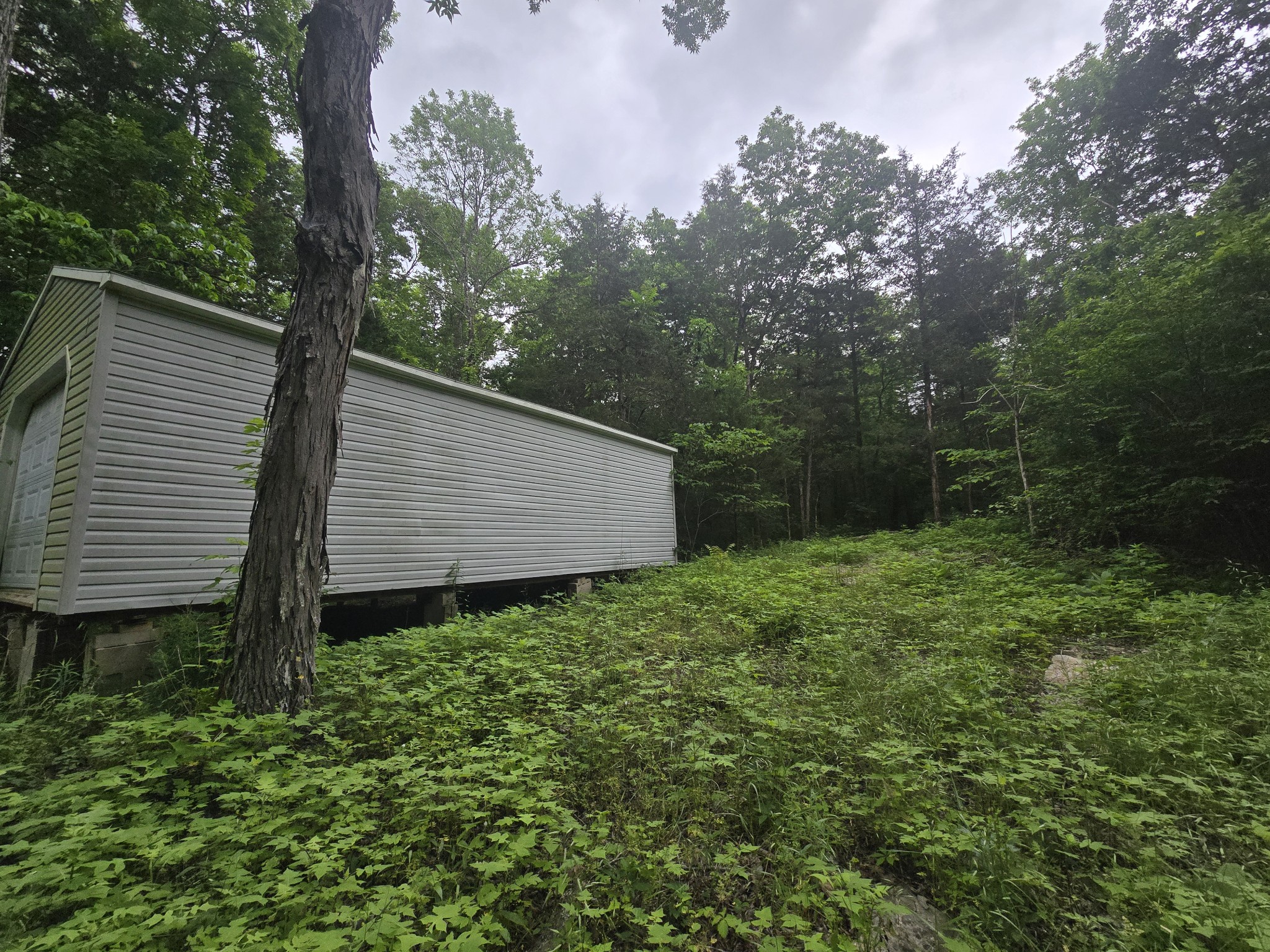 0 Tom Littlejohn Rd Property Photo 4