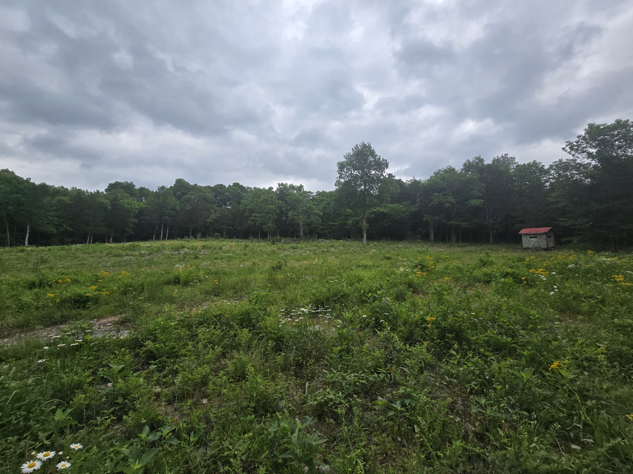 0 Tom Littlejohn Rd Property Photo 6