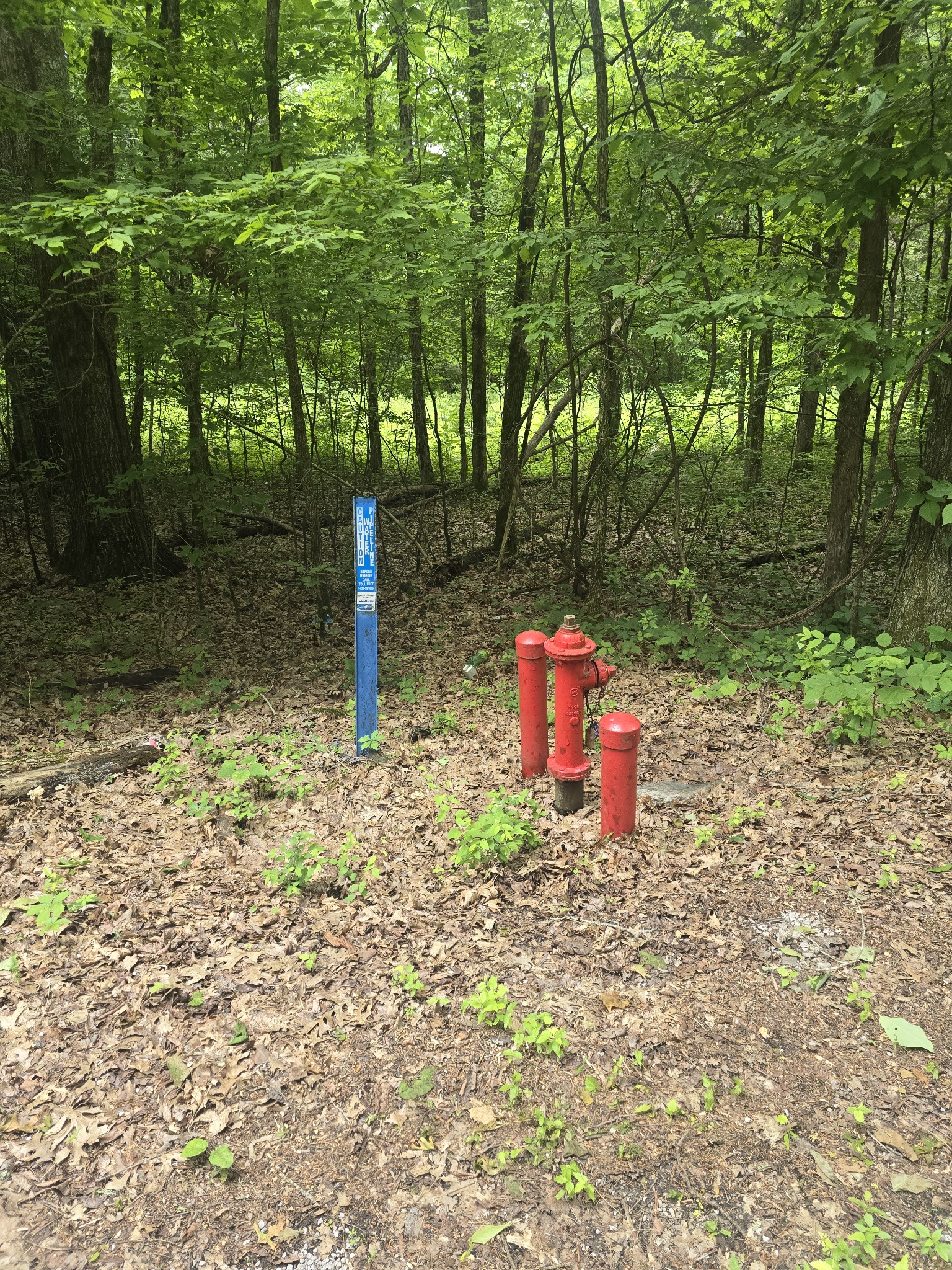 0 Tom Littlejohn Rd Property Photo 19